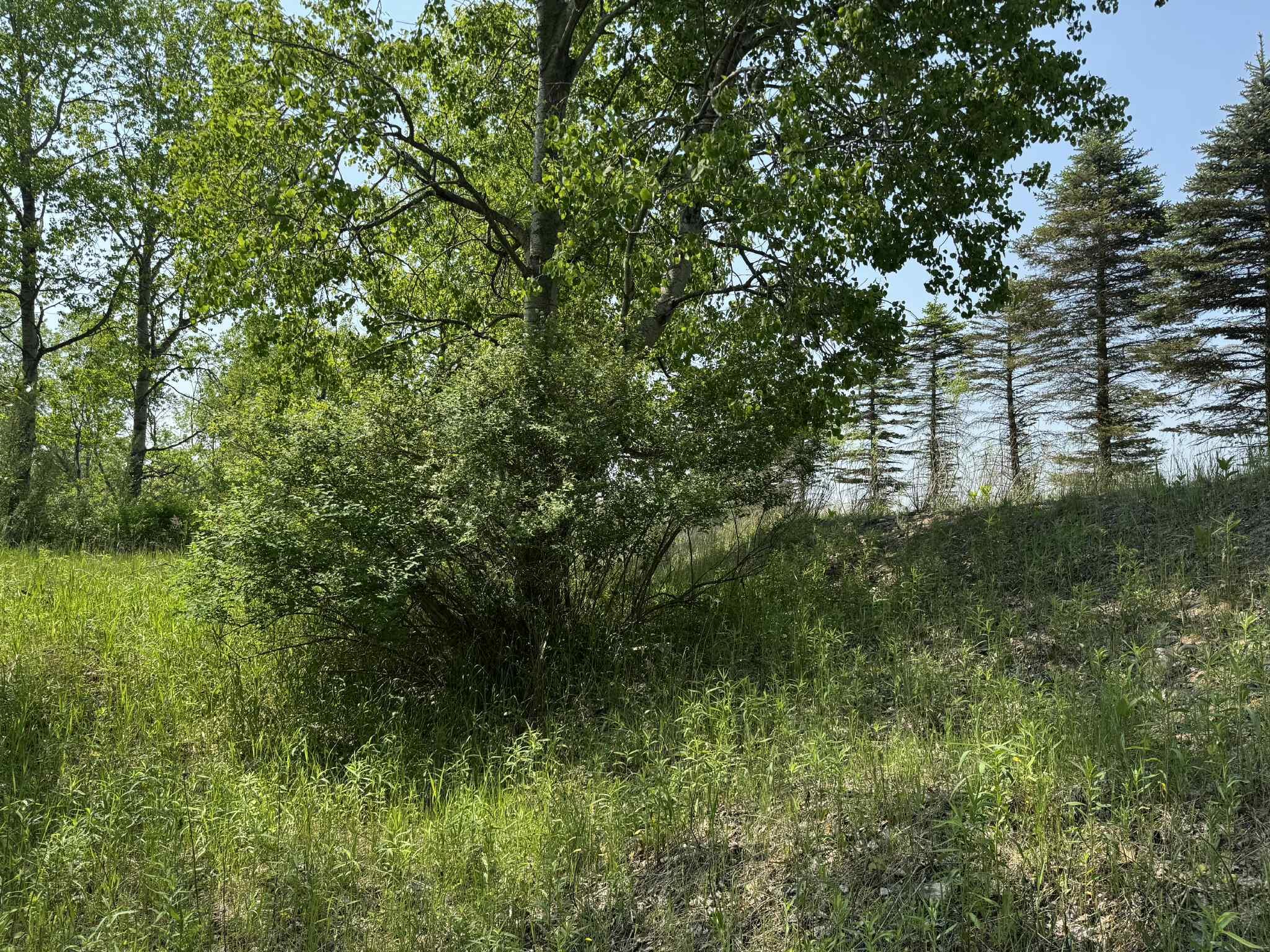 6294 100th Avenue Osceola Township MI 49631