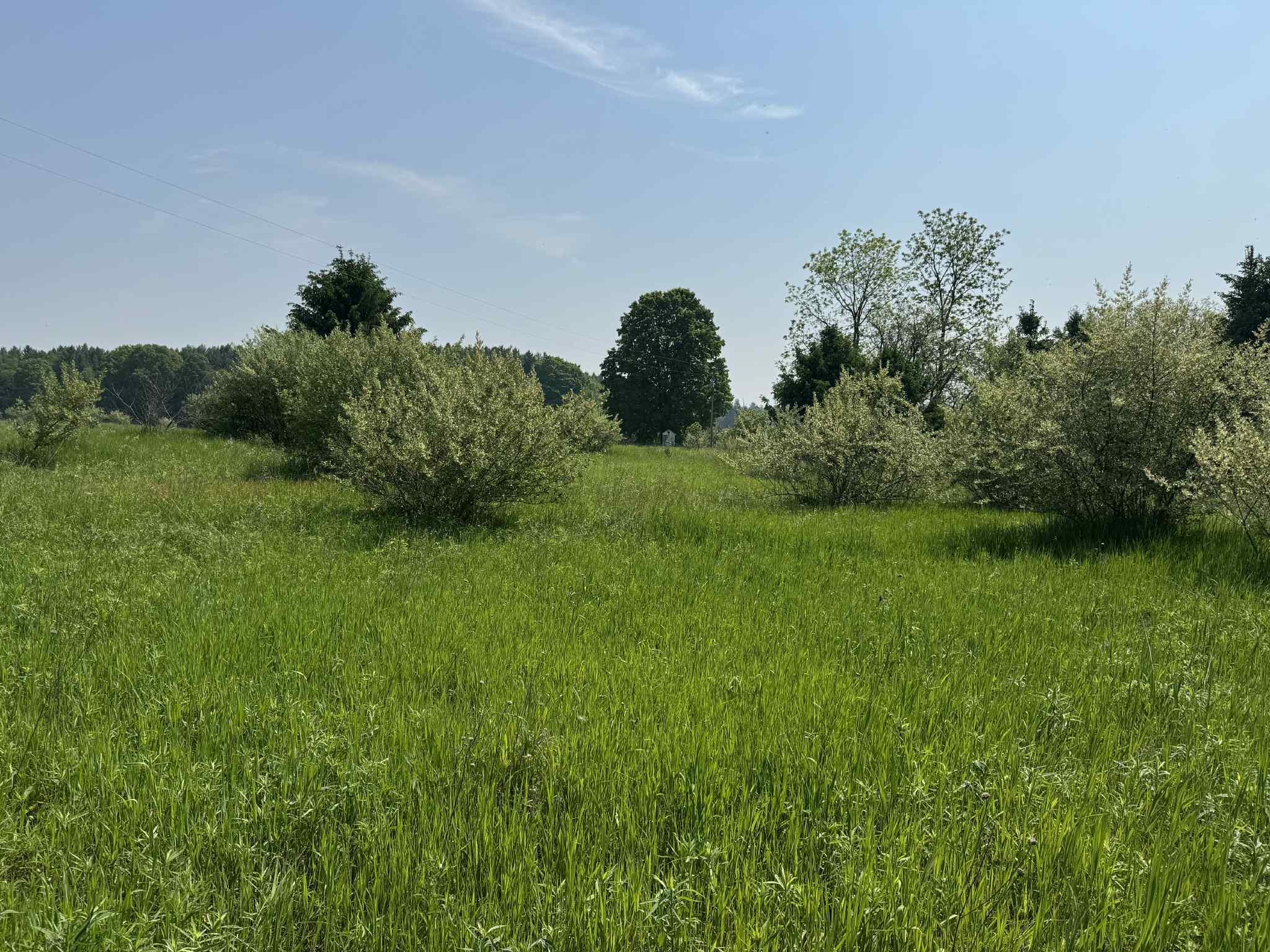 6294 100th Avenue Osceola Township MI 49631