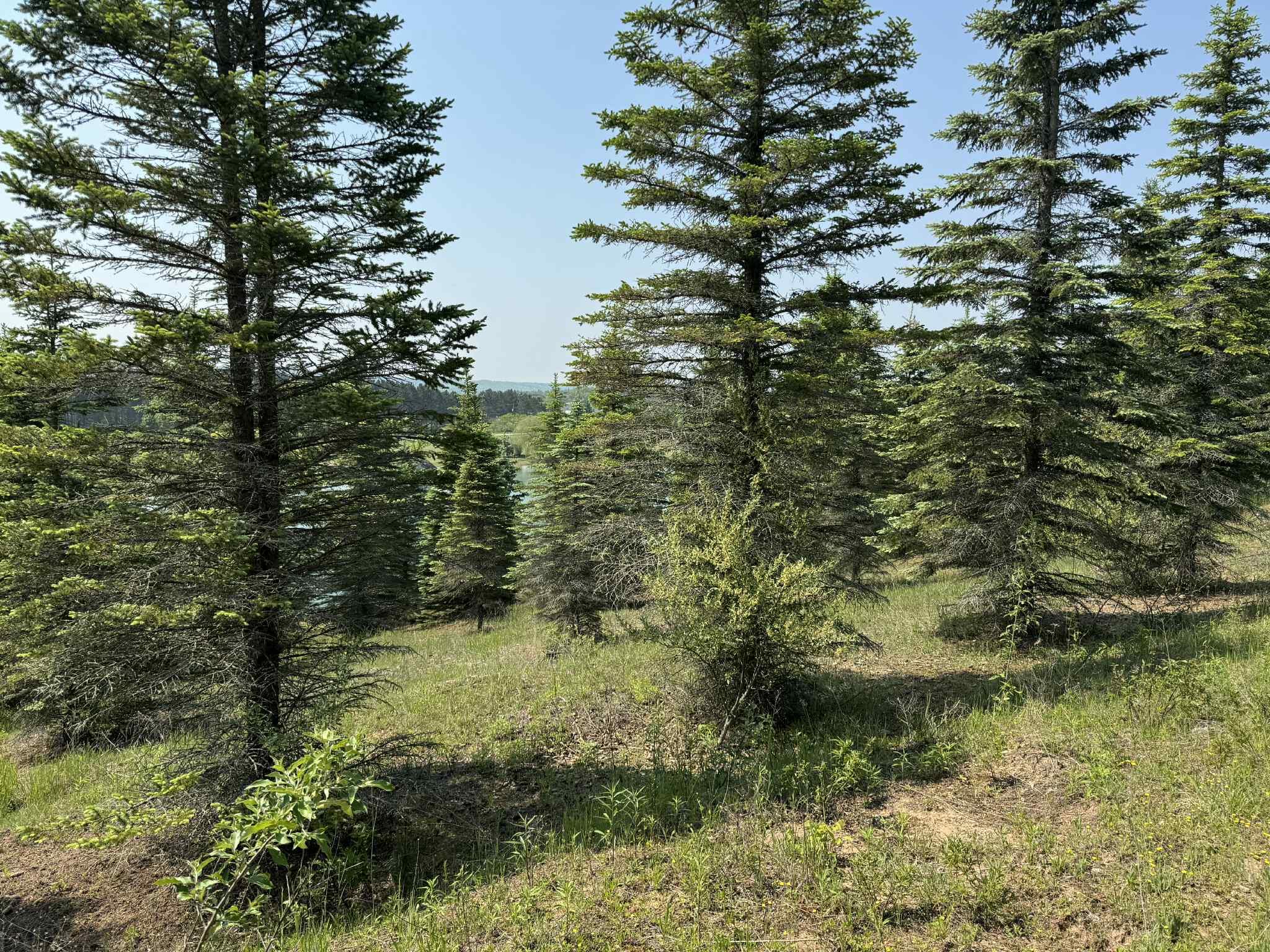 6294 100th Avenue Osceola Township MI 49631