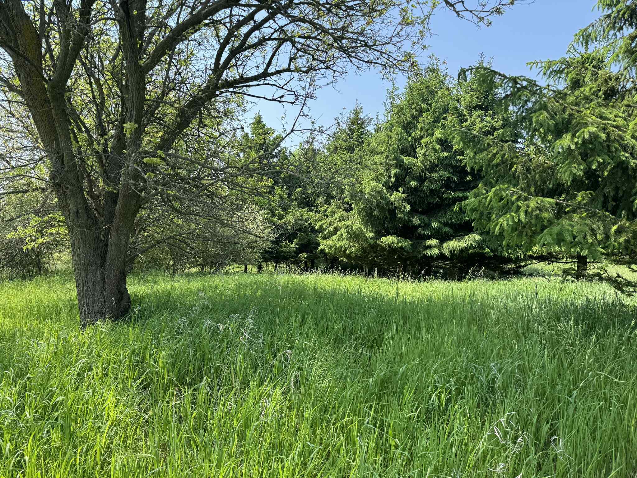 6294 100th Avenue Osceola Township MI 49631