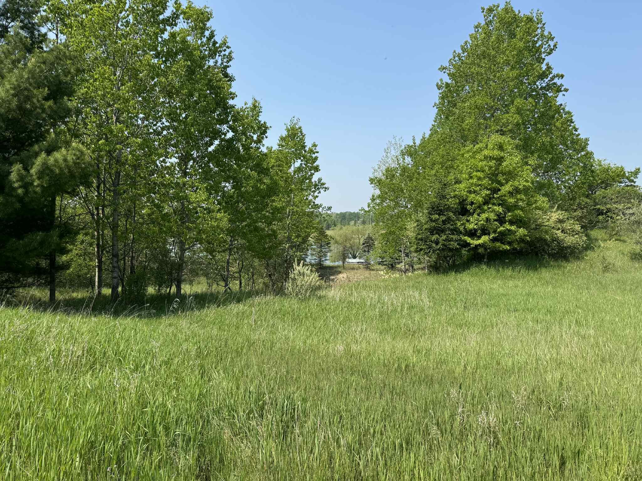 6294 100th Avenue Osceola Township MI 49631