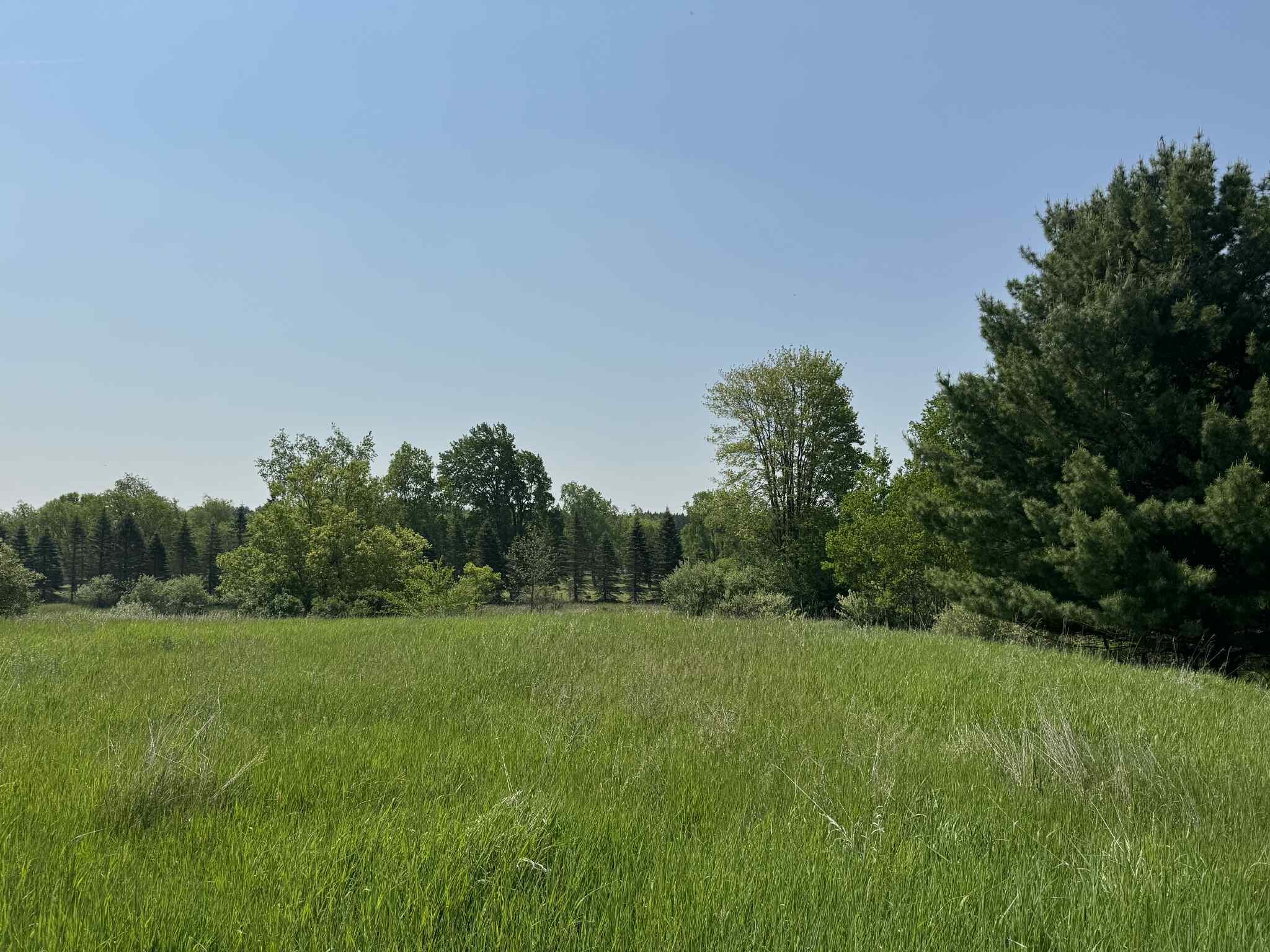 6294 100th Avenue Osceola Township MI 49631