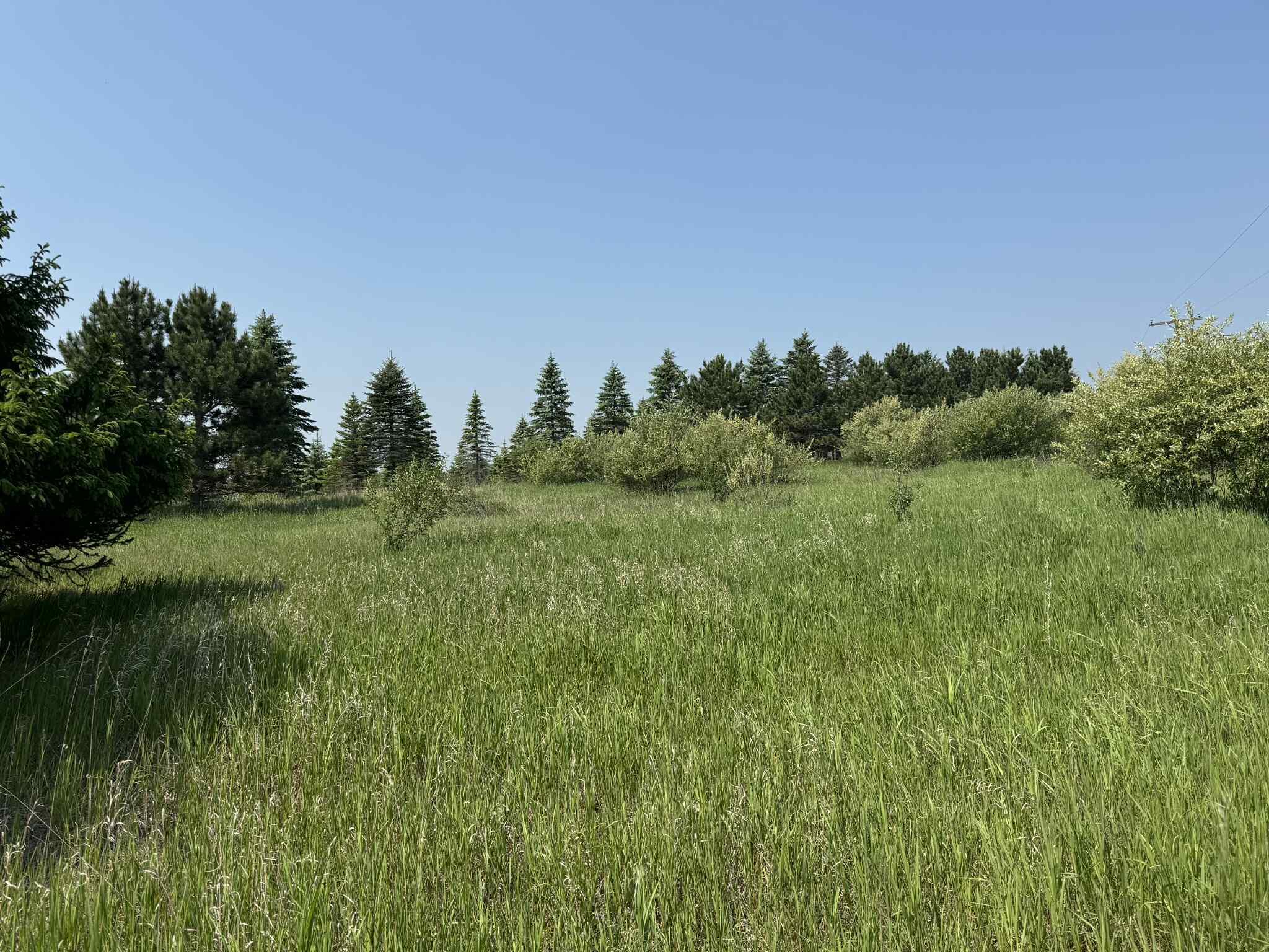 6294 100th Avenue Osceola Township MI 49631