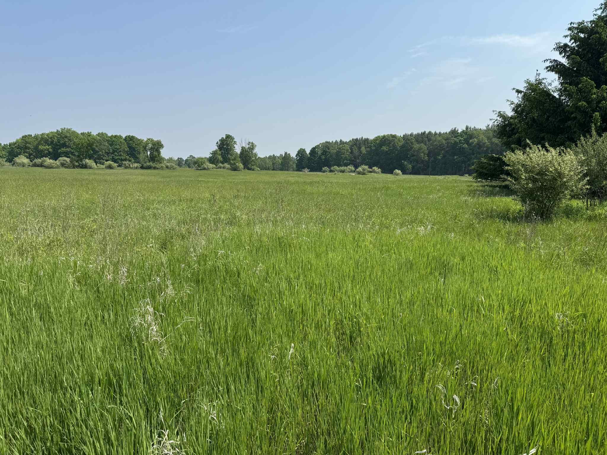 6294 100th Avenue Osceola Township MI 49631