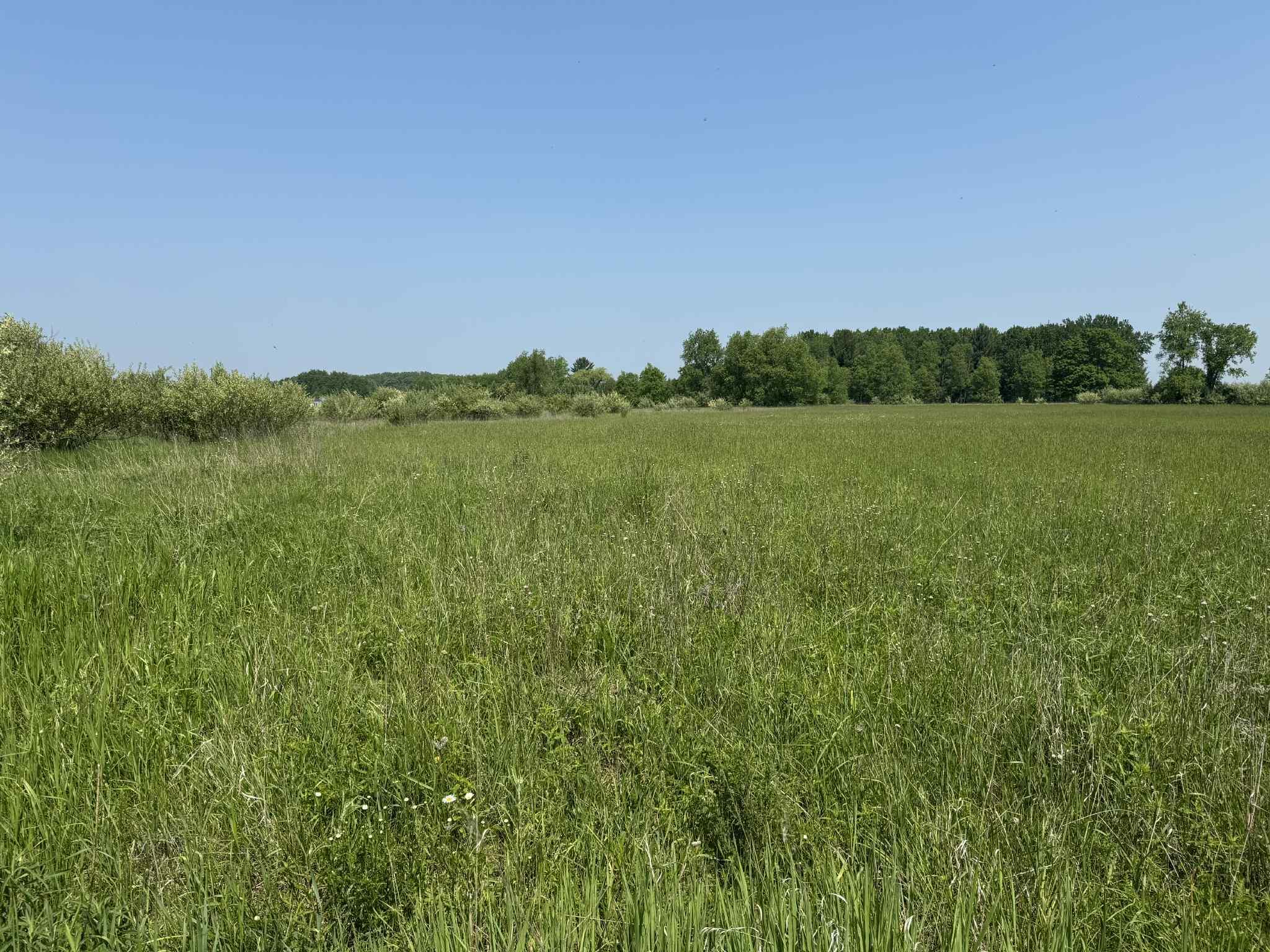 6294 100th Avenue Osceola Township MI 49631