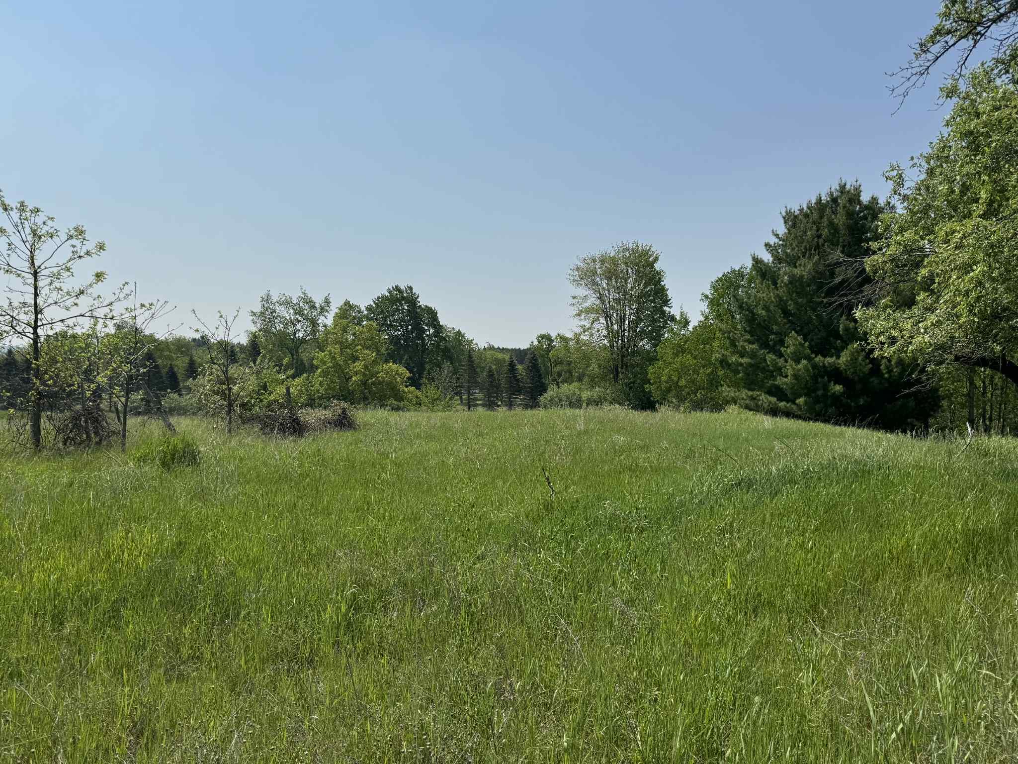 6294 100th Avenue Osceola Township MI 49631
