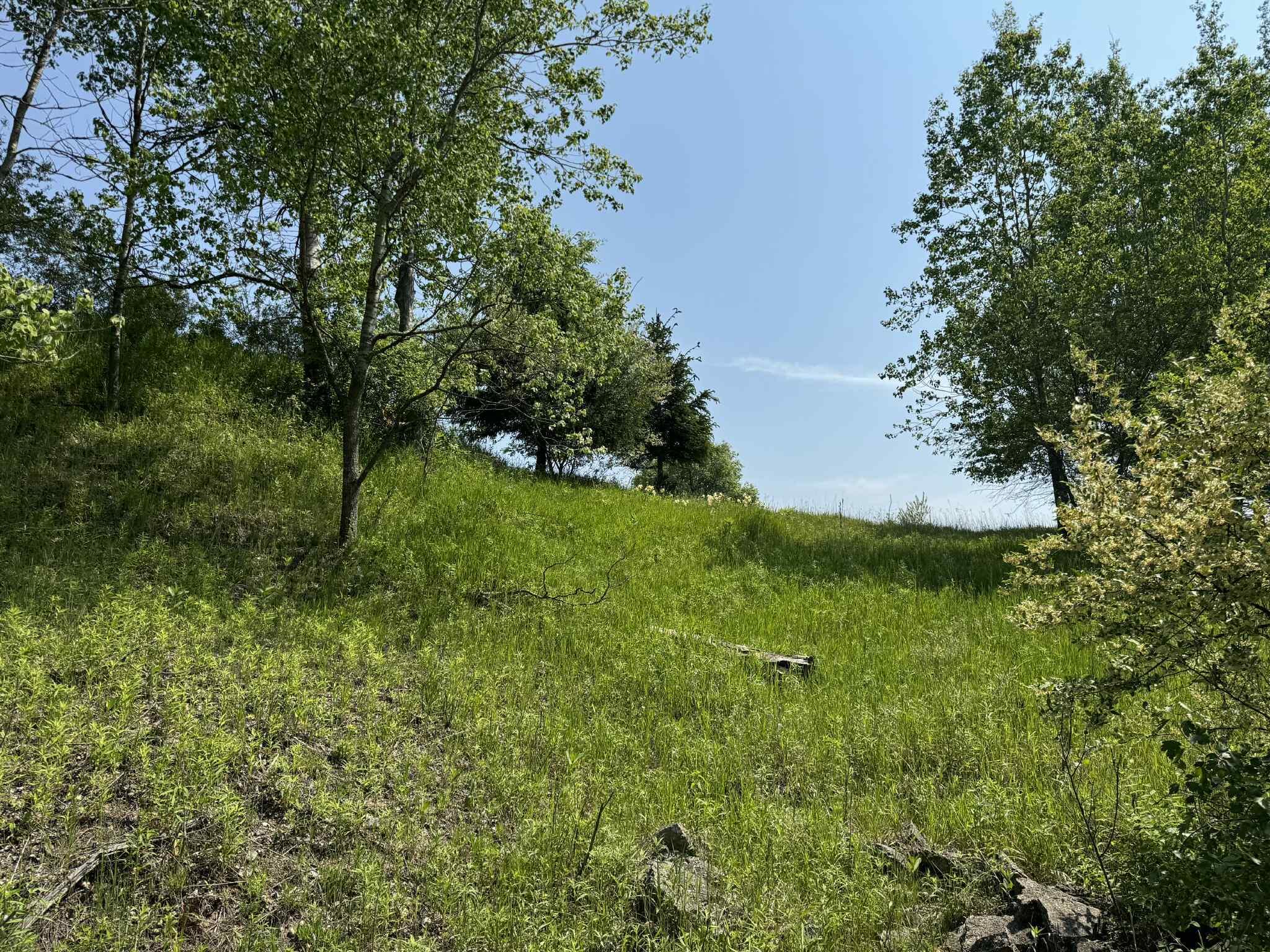 6294 100th Avenue Osceola Township MI 49631