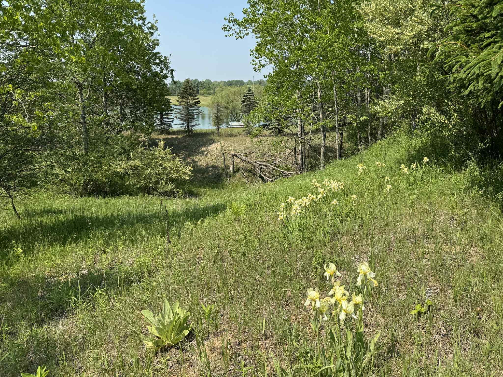 6294 100th Avenue Osceola Township MI 49631