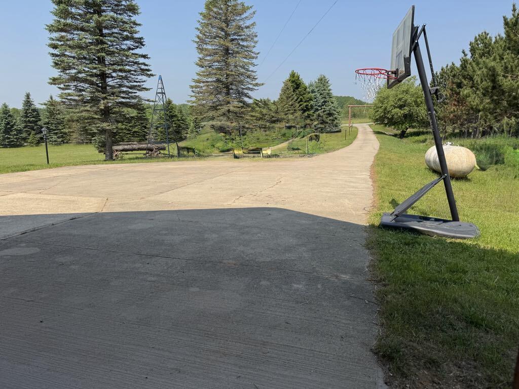 6294 100th Avenue Osceola Township MI 49631