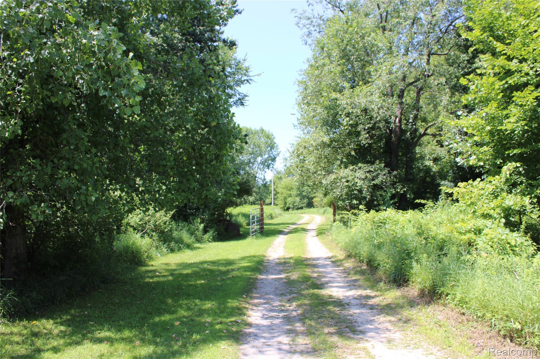 8300 Wiggins Road Deerfield Township MI 48855