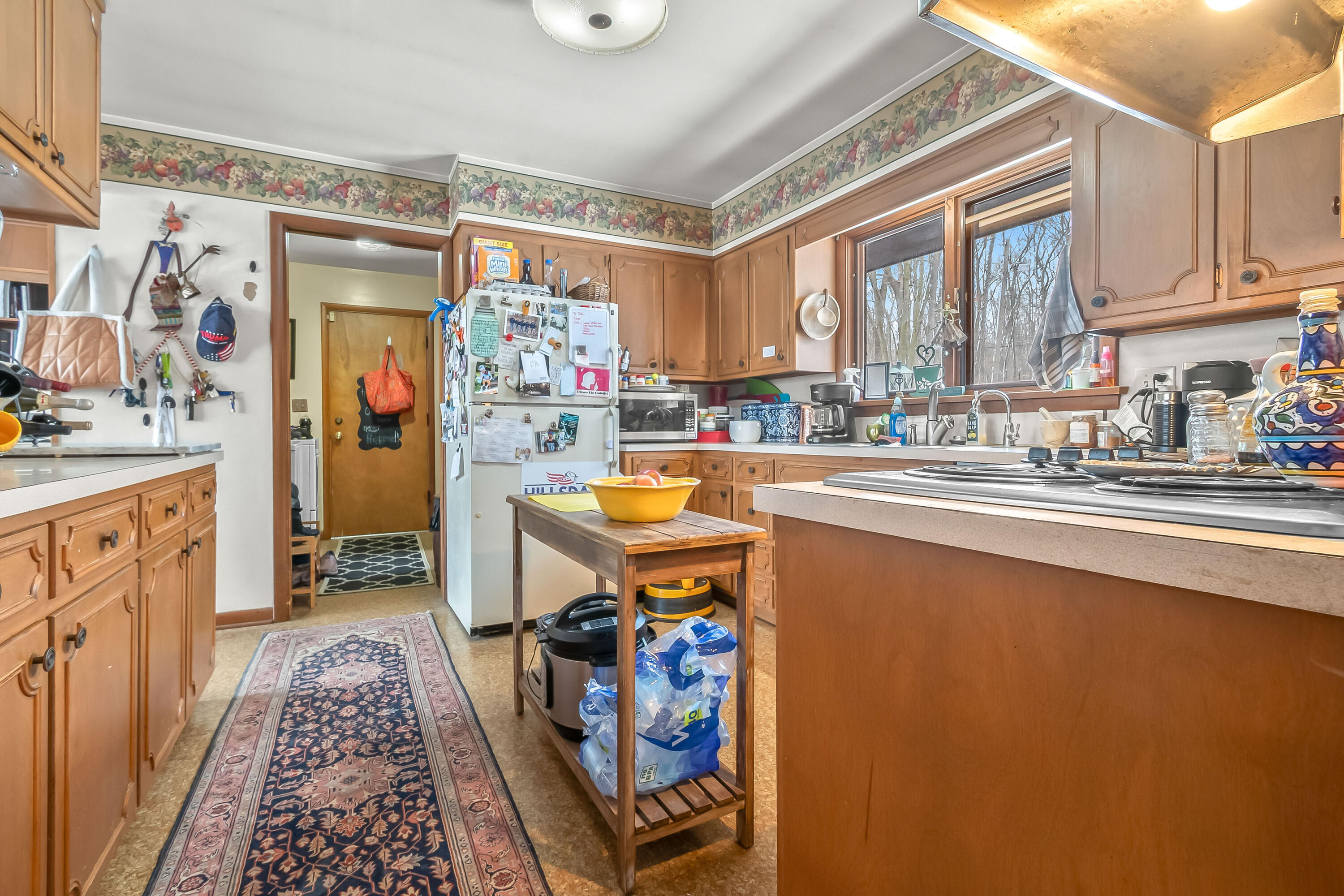 3671 Wildwood Court Cambria Township MI 49242