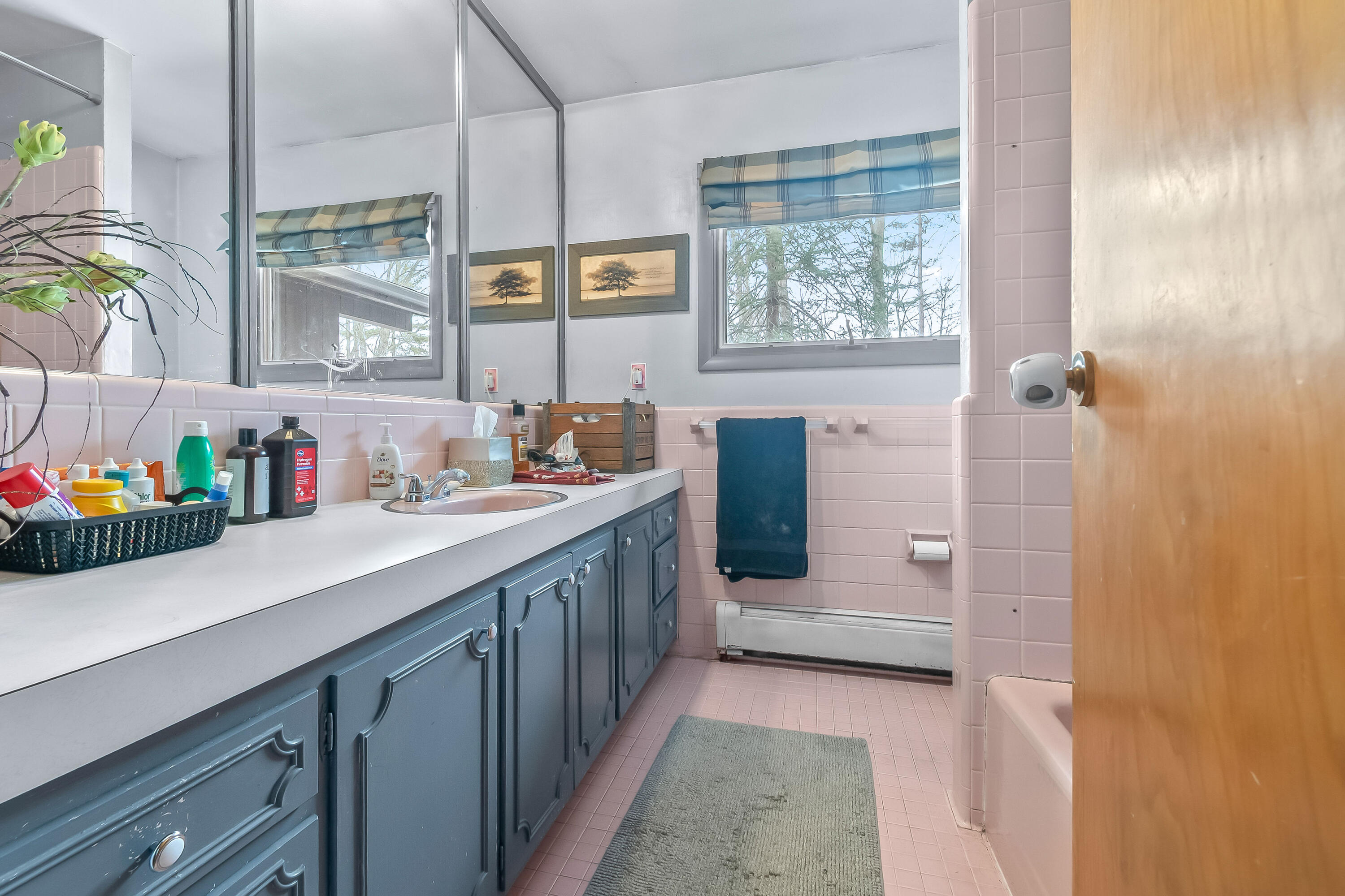 3671 Wildwood Court Cambria Township MI 49242