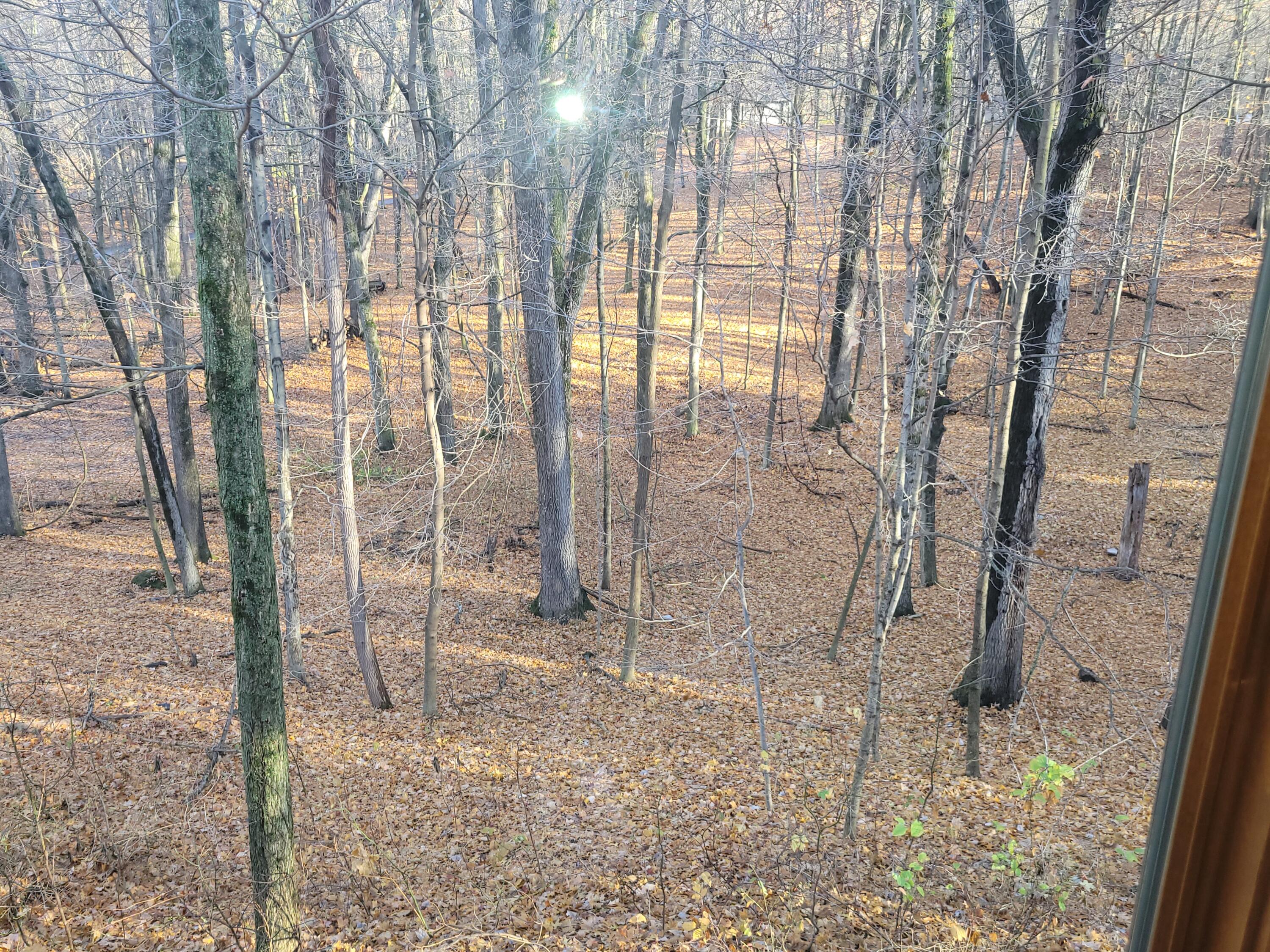 6070 Far Hills Way Alamo Township MI 49009