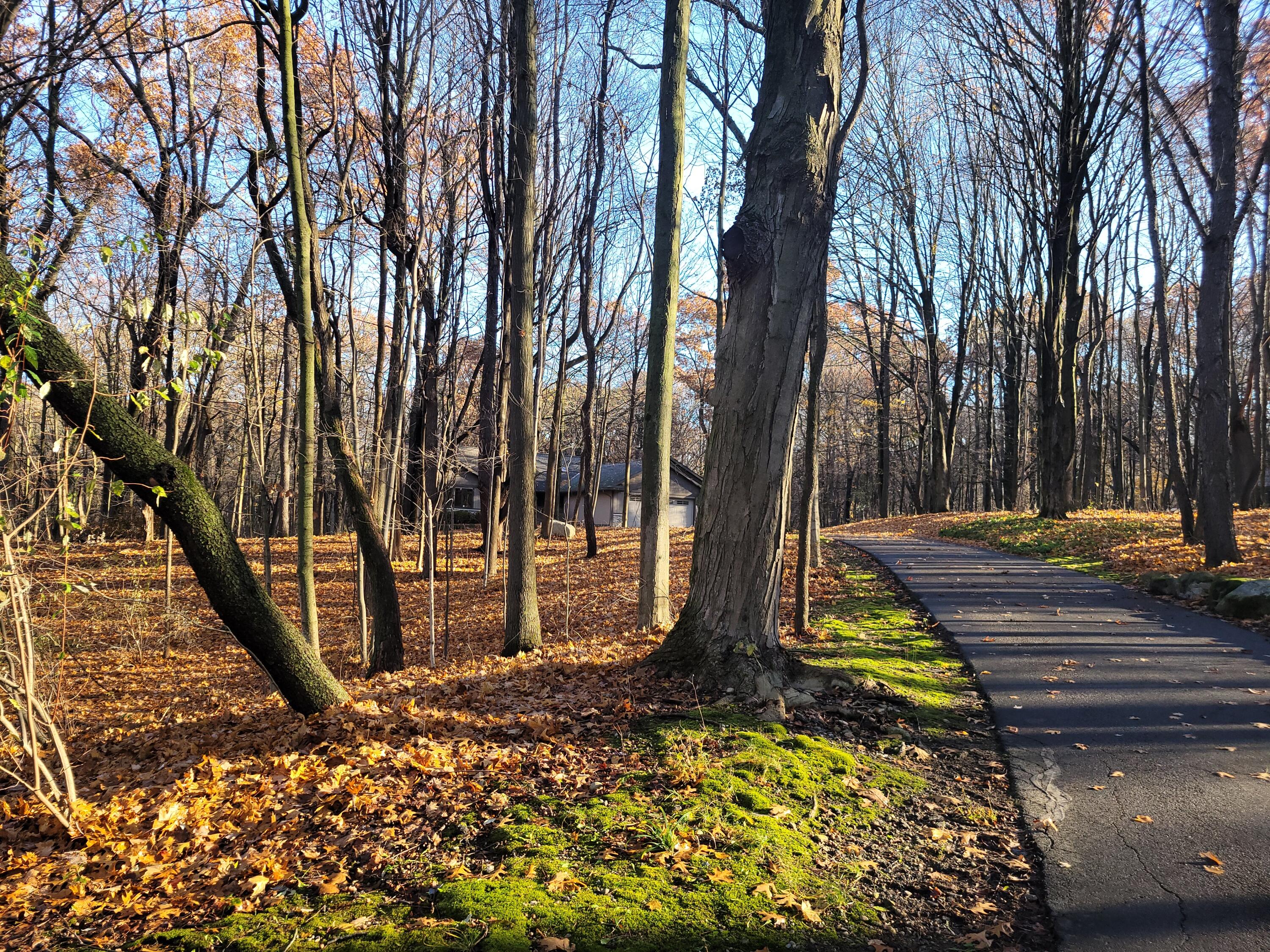 6070 Far Hills Way Alamo Township MI 49009