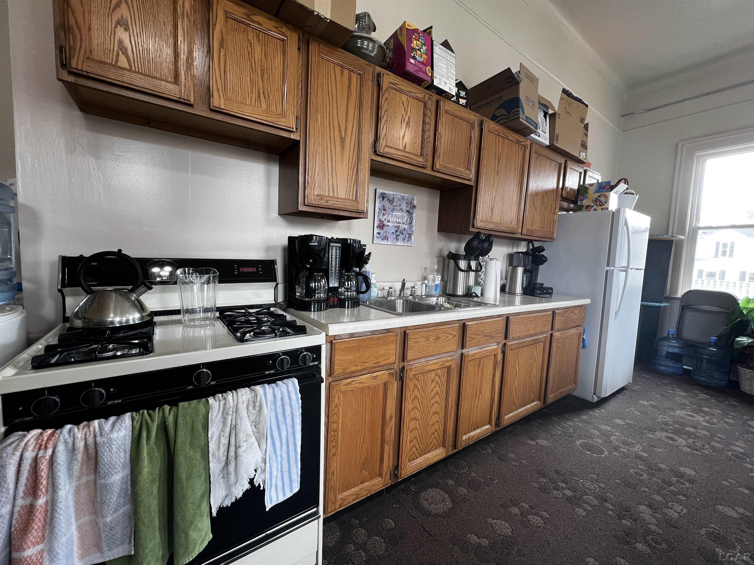 227 Greenly Street Adrian City MI 49221