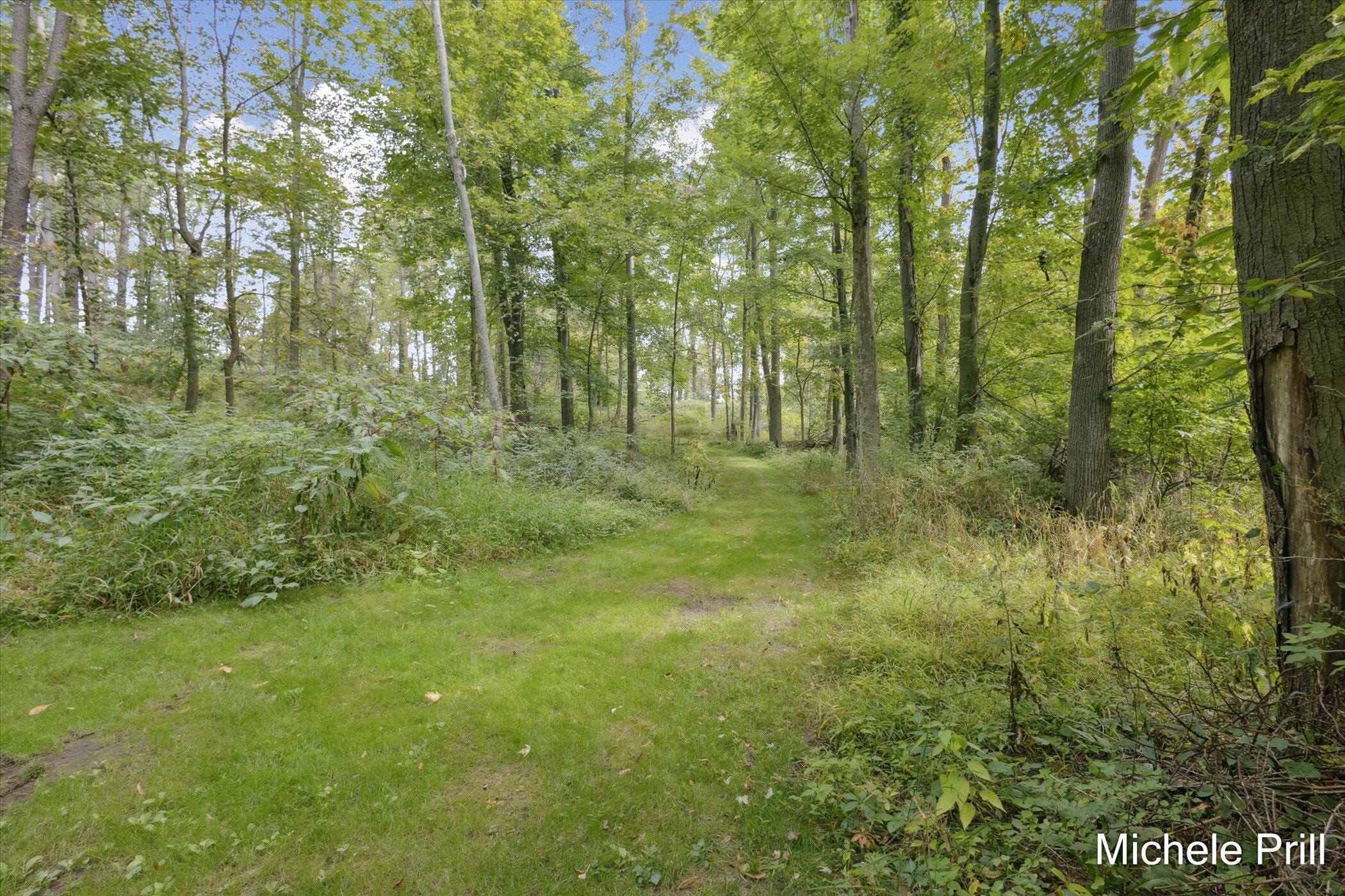 9877 Brumm River Drive Castleton Township MI 49073