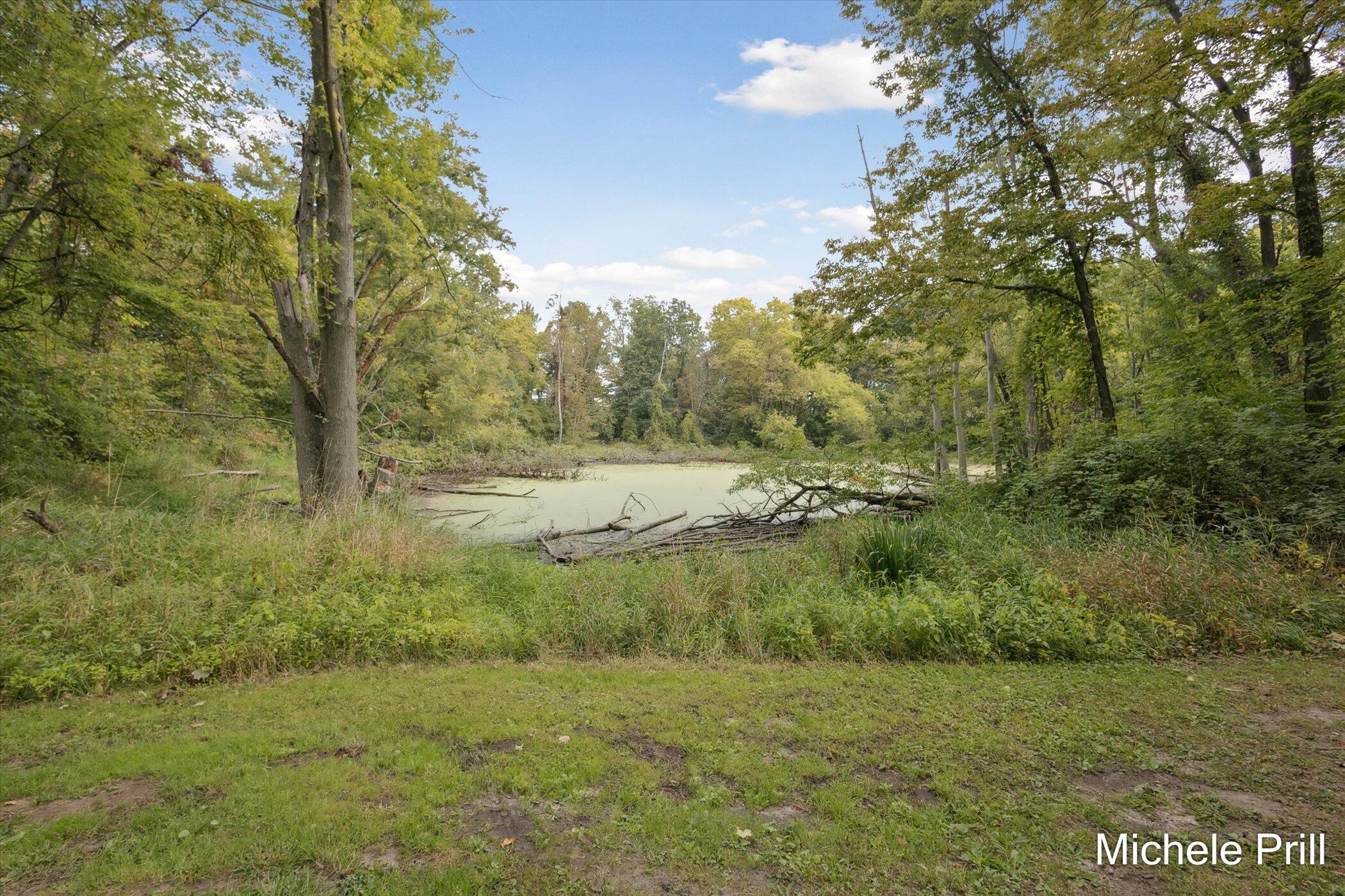 9877 Brumm River Drive Castleton Township MI 49073