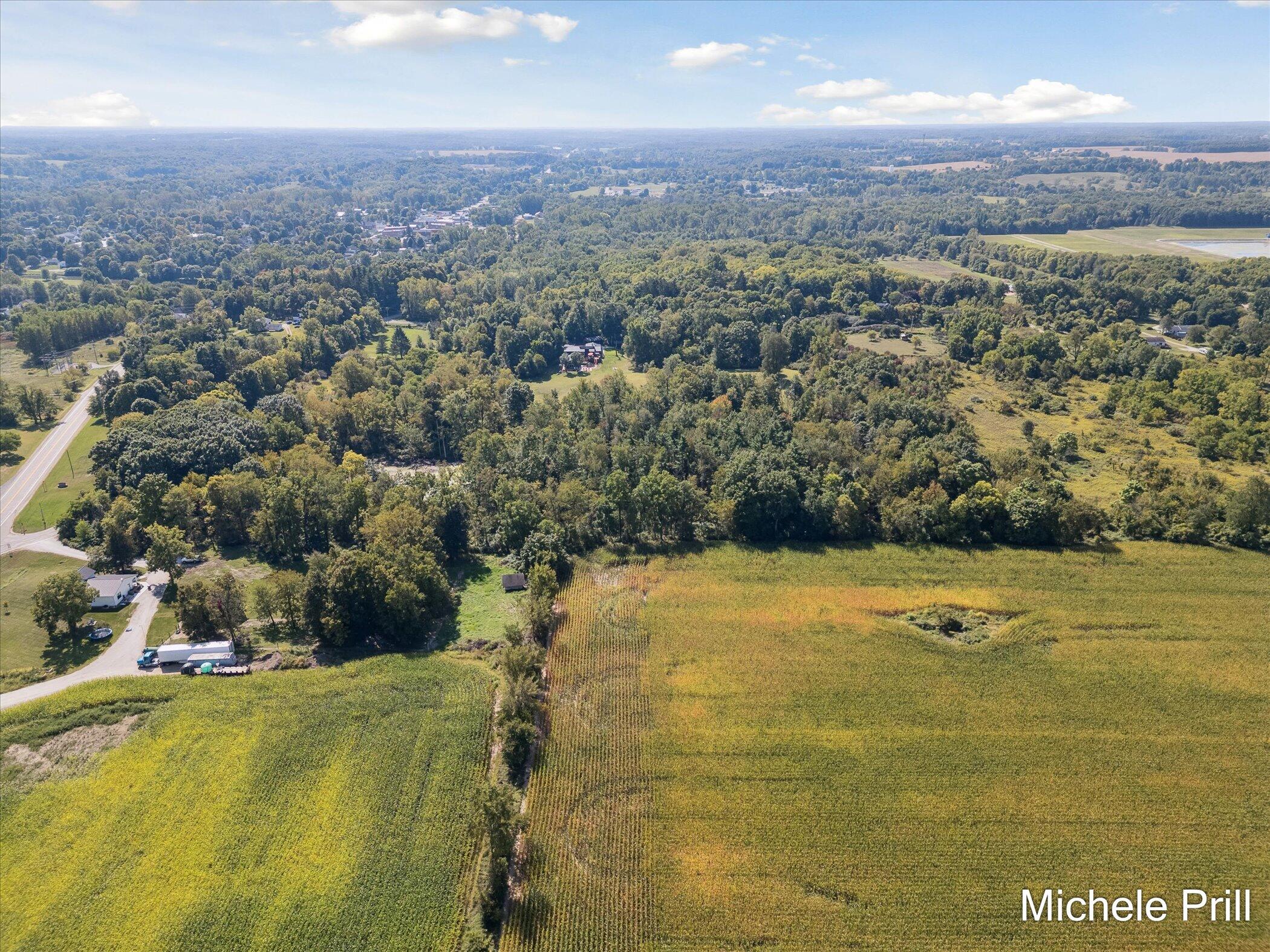 9877 Brumm River Drive Castleton Township MI 49073