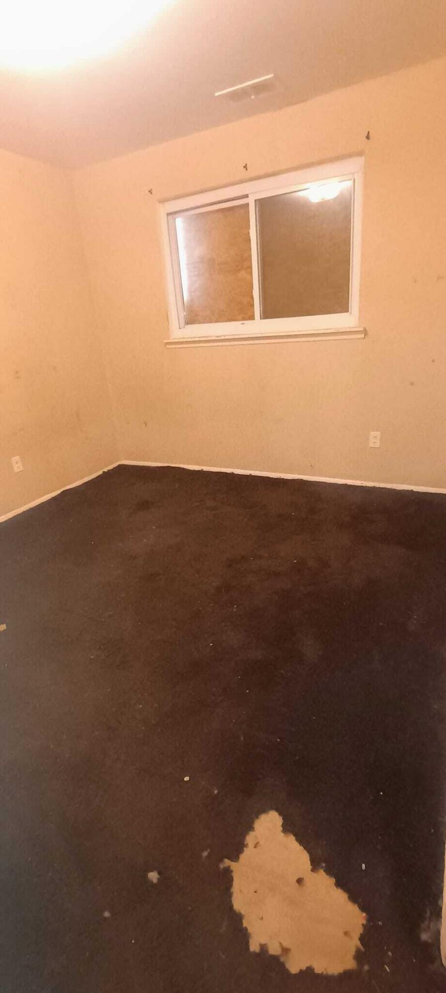 6121 Plainview Avenue Detroit City MI 48228