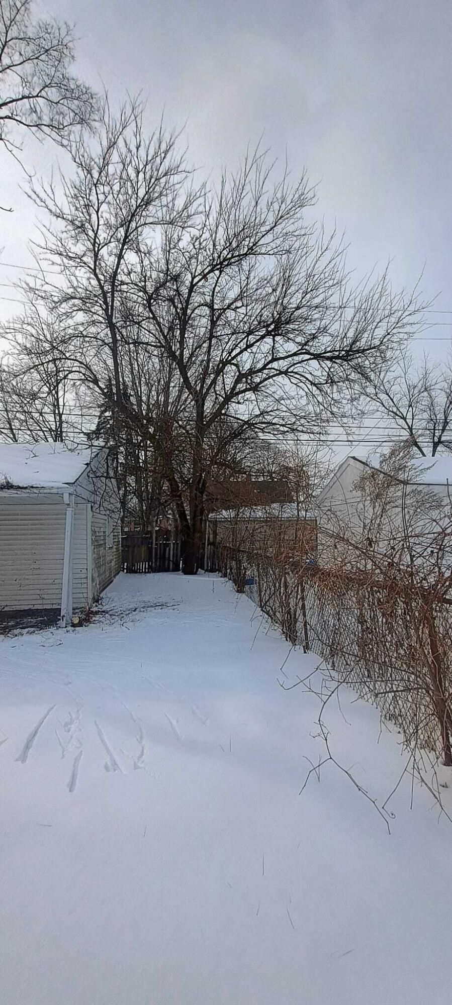 6121 Plainview Avenue Detroit City MI 48228