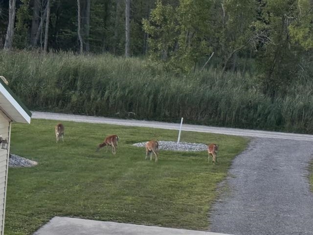 2414 Lola Lane Au Gres Township MI 48703