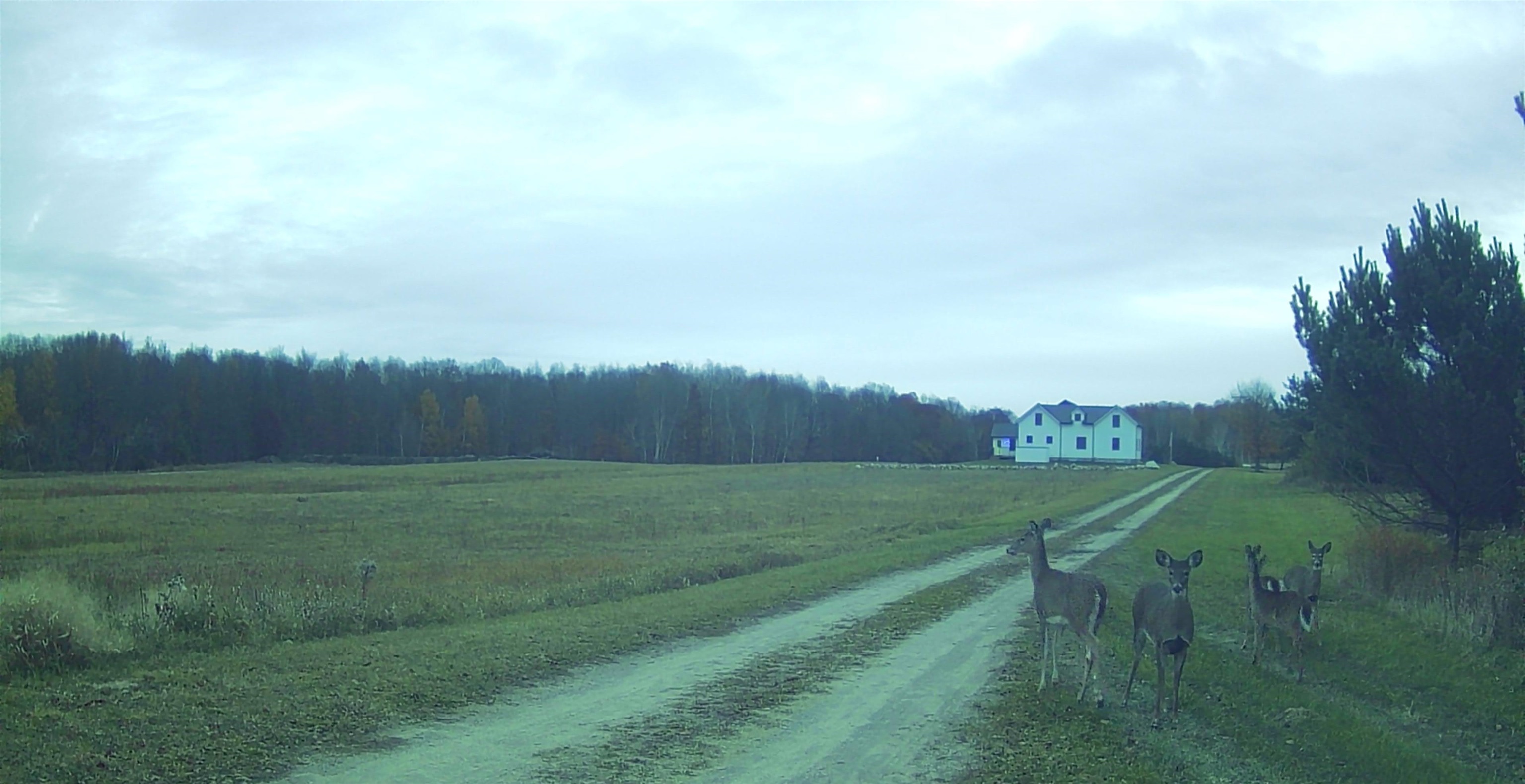 8110 Ames Road Bear Lake Township MI 49614