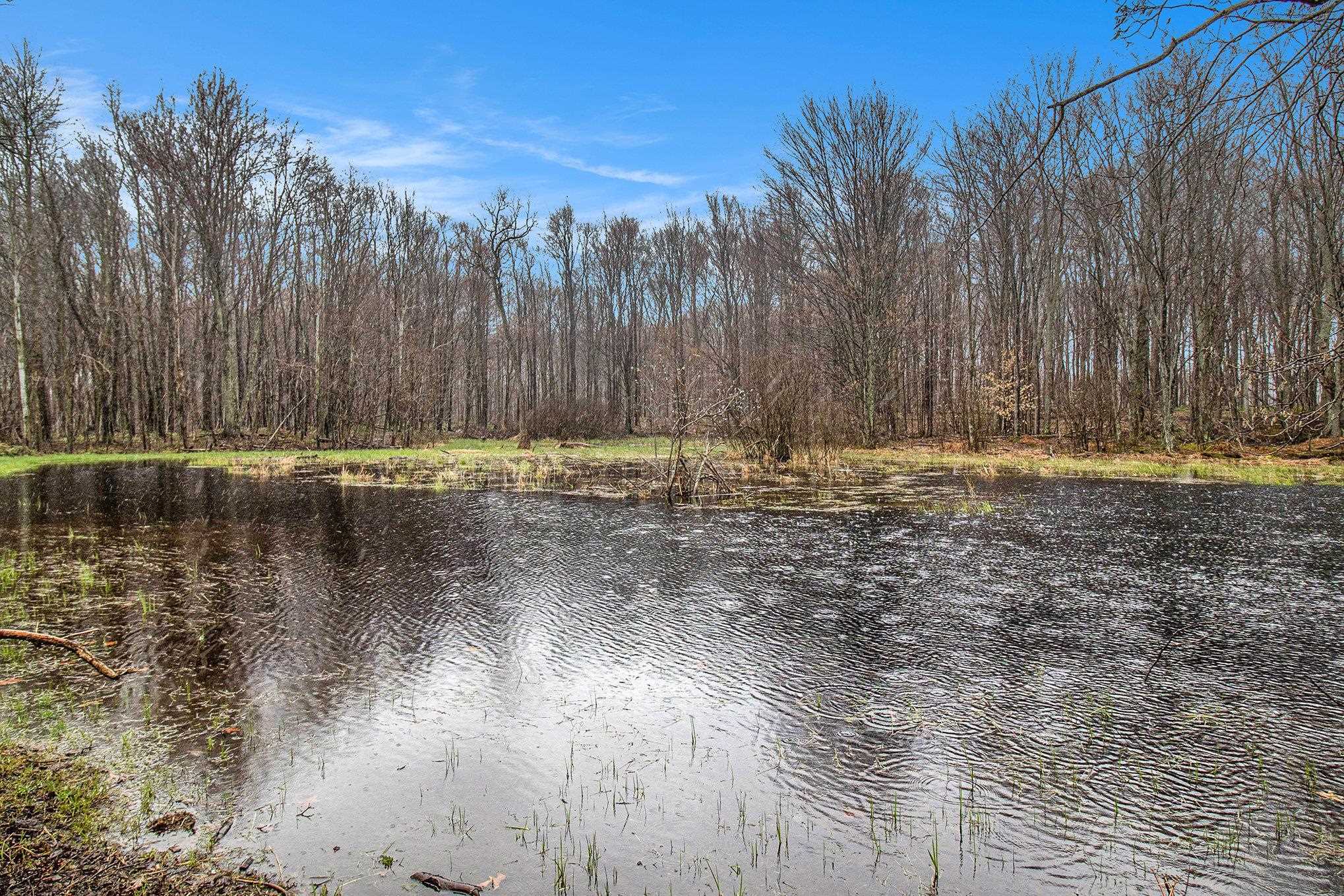 8110 Ames Road Bear Lake Township MI 49614
