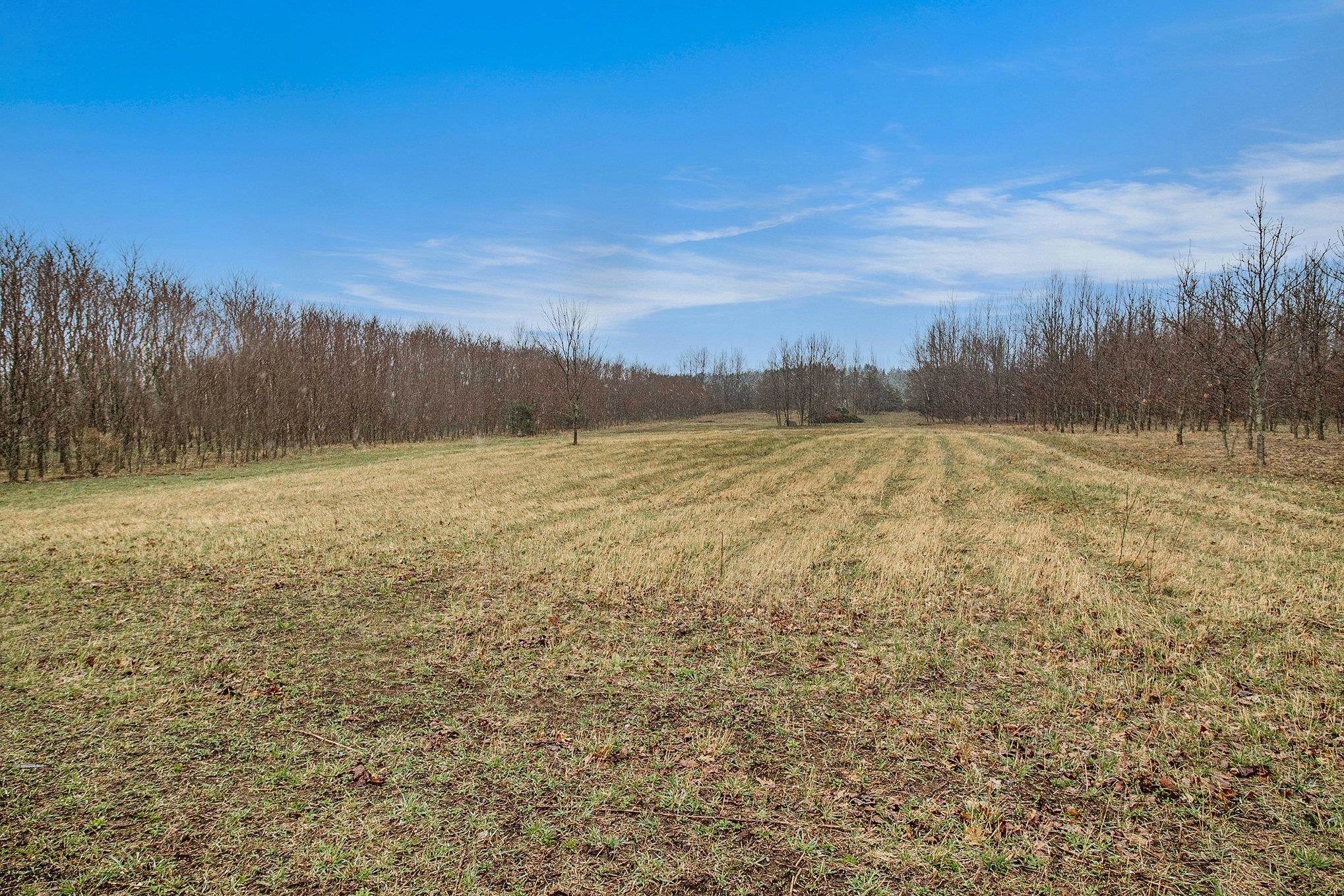 8110 Ames Road Bear Lake Township MI 49614