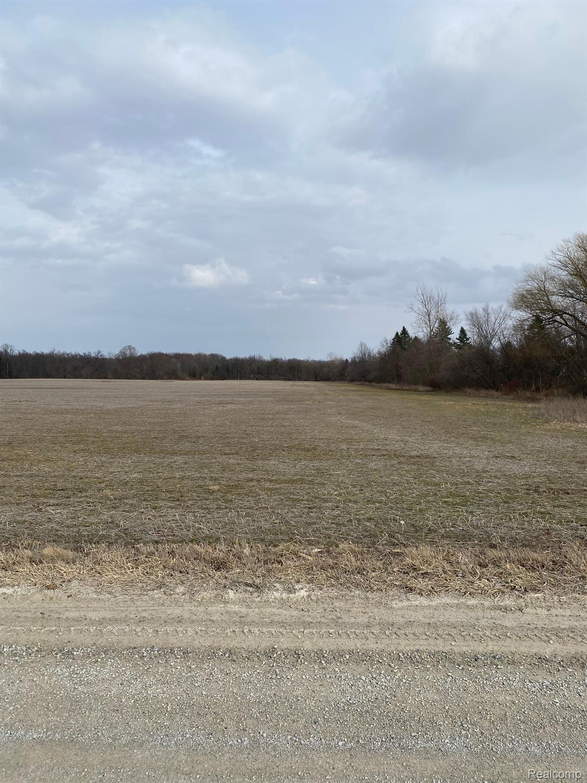 0002 Howland Road Almont Township MI 48003