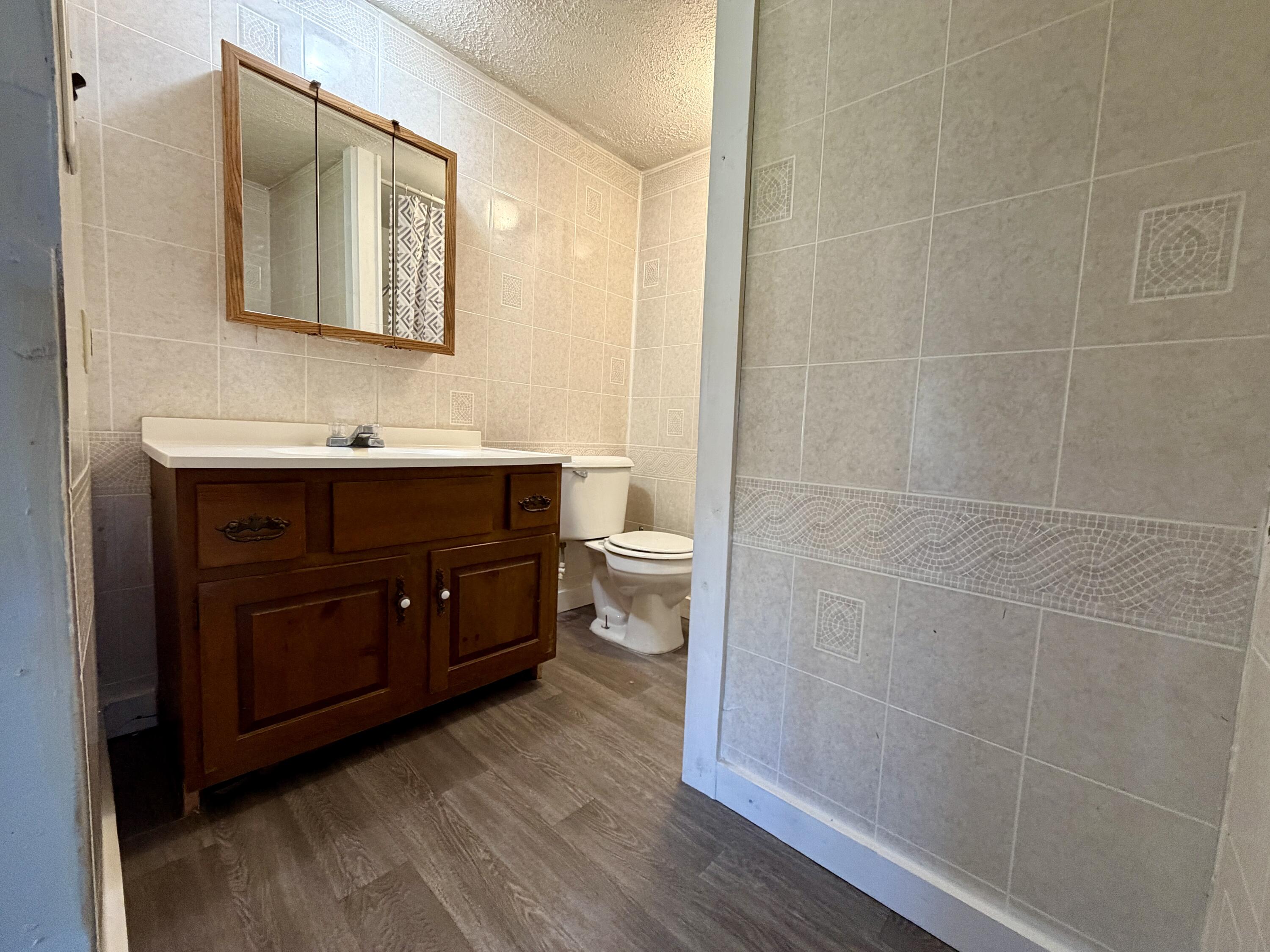 2565 Lapo Road Odessa Township MI 48849