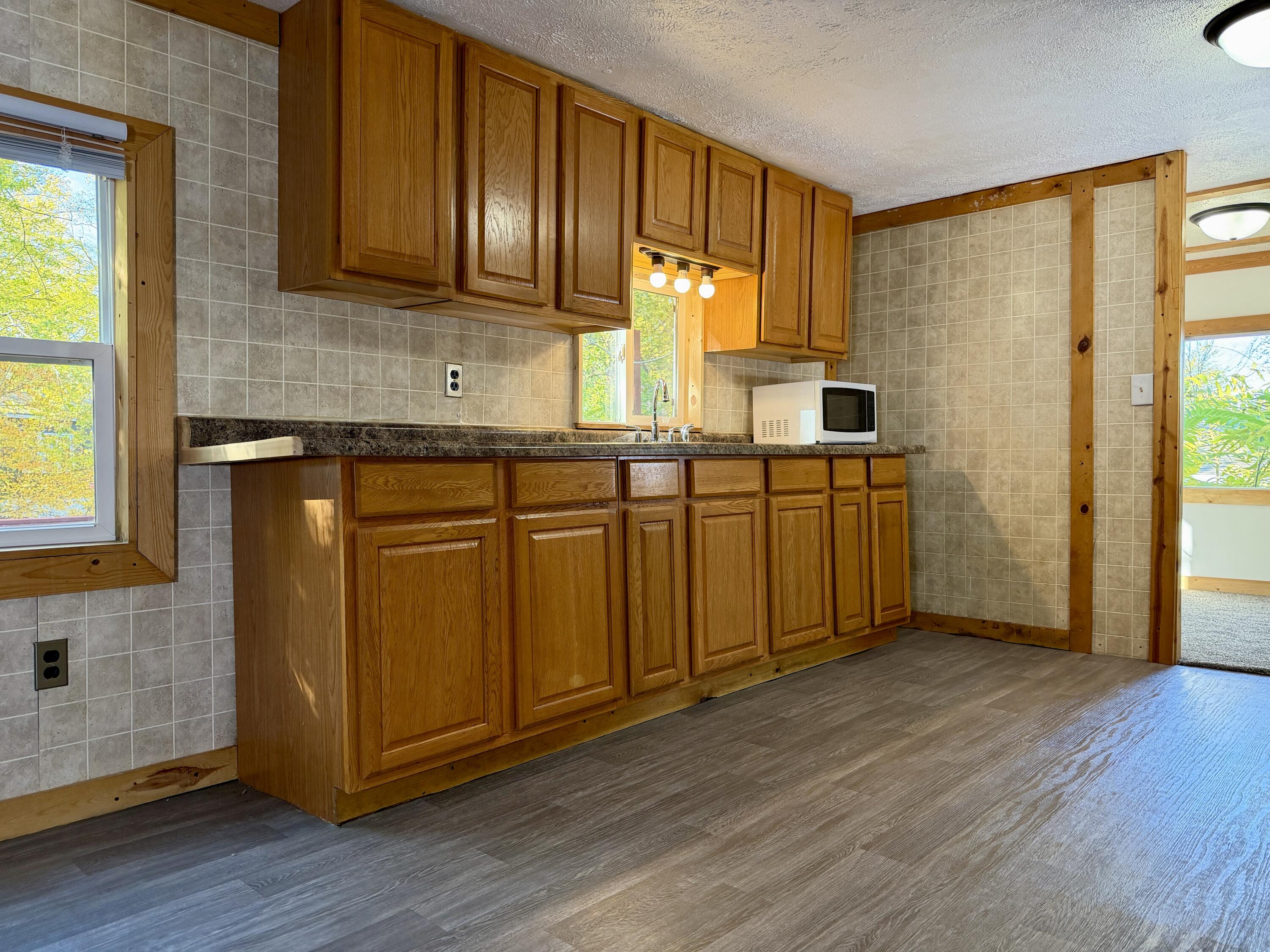 2565 Lapo Road Odessa Township MI 48849