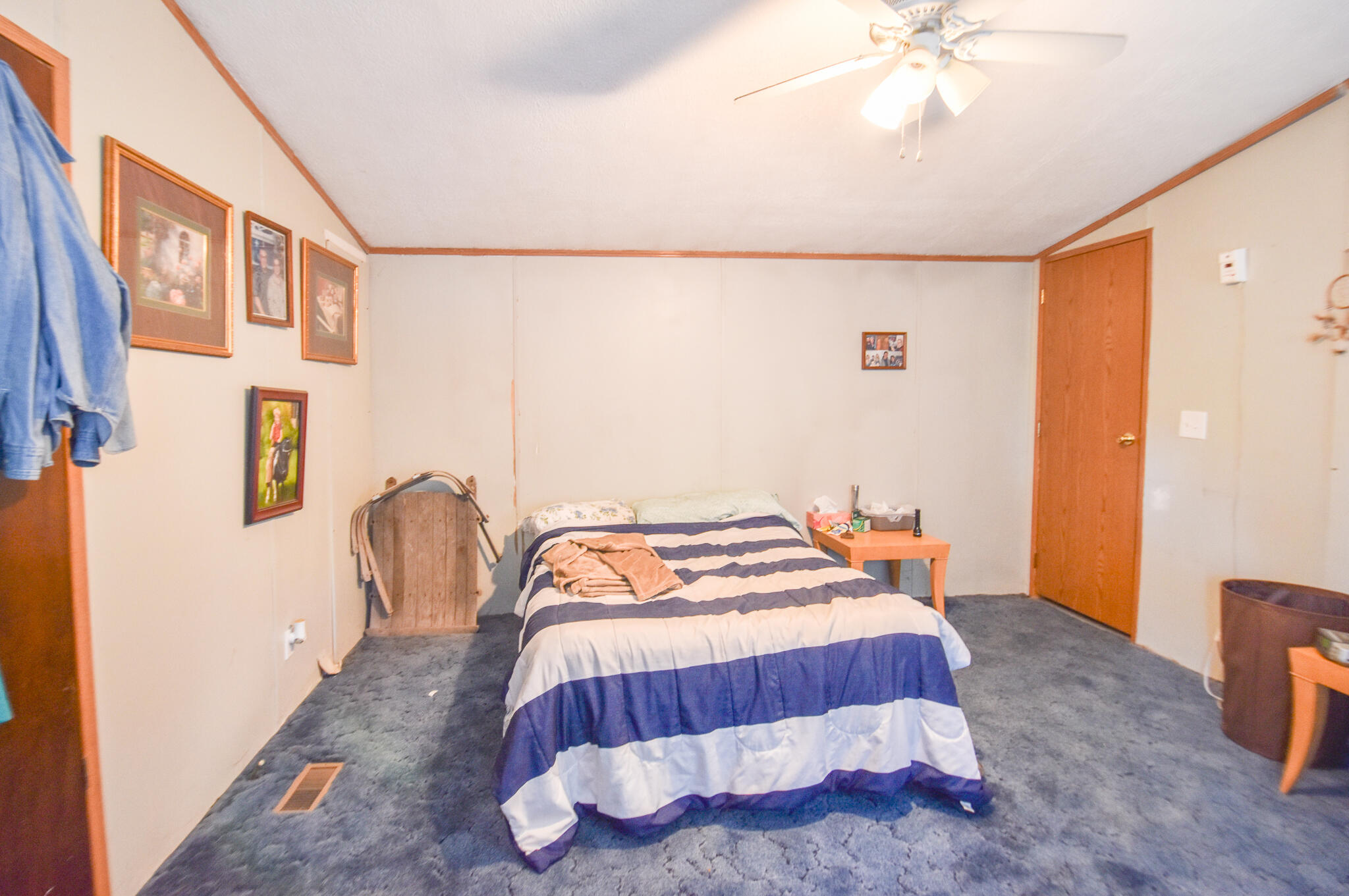 202 Dons Drive Algansee Township MI 49036