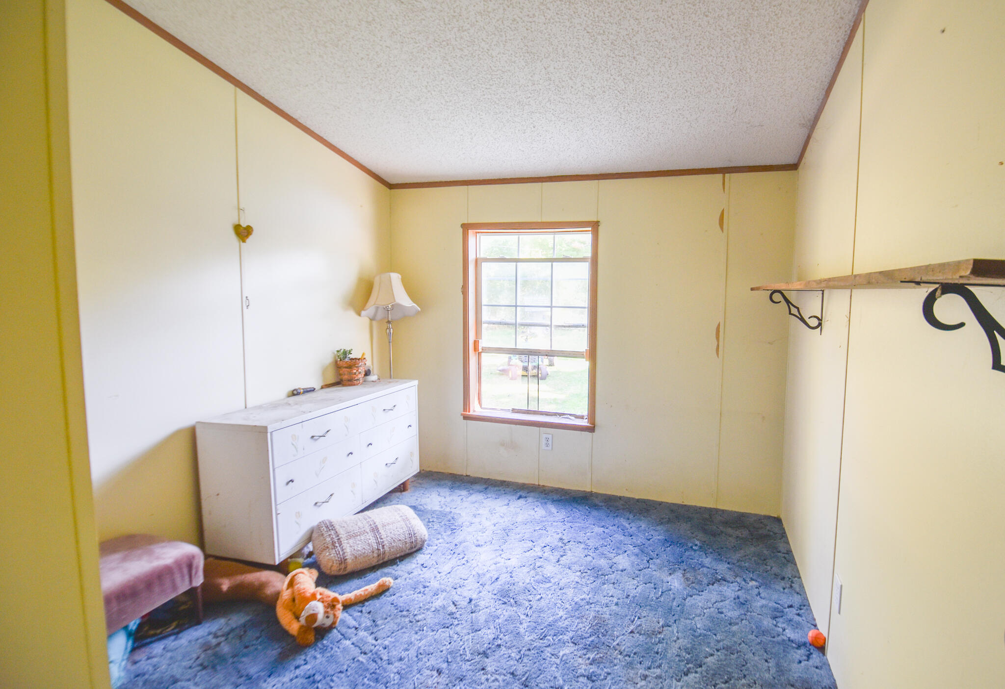 202 Dons Drive Algansee Township MI 49036