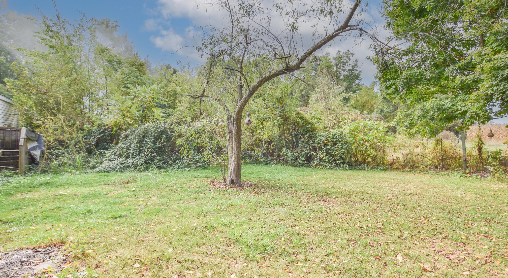 202 Dons Drive Algansee Township MI 49036