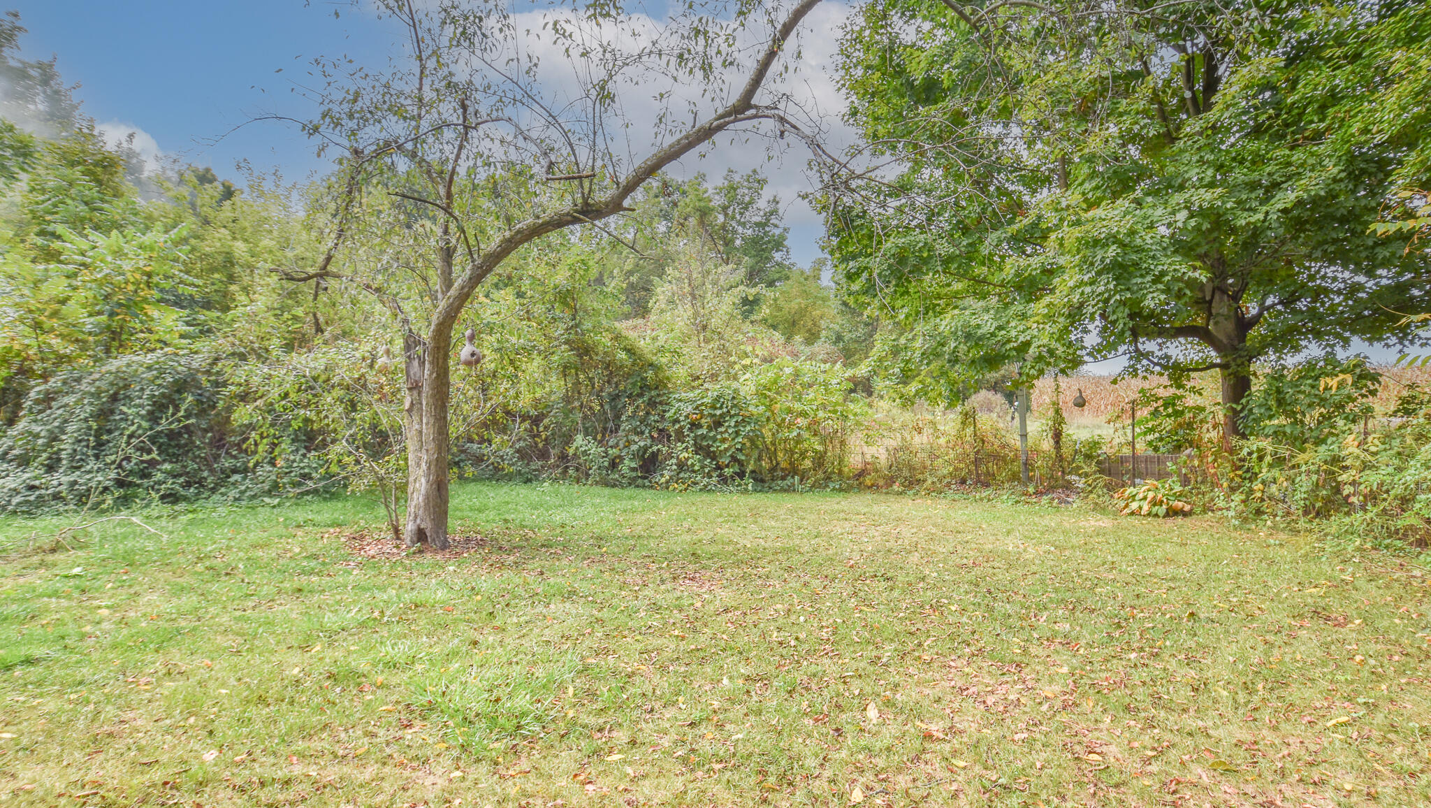 202 Dons Drive Algansee Township MI 49036