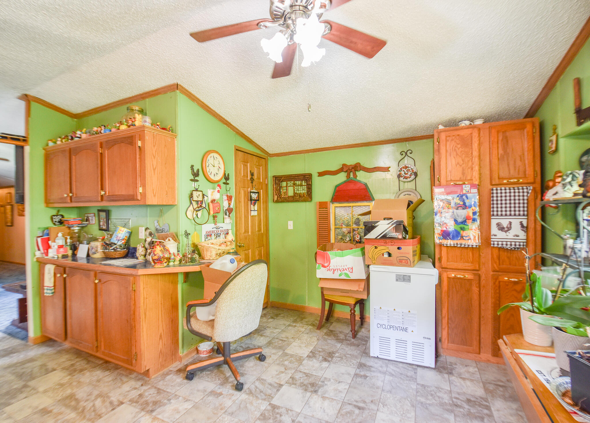 202 Dons Drive Algansee Township MI 49036