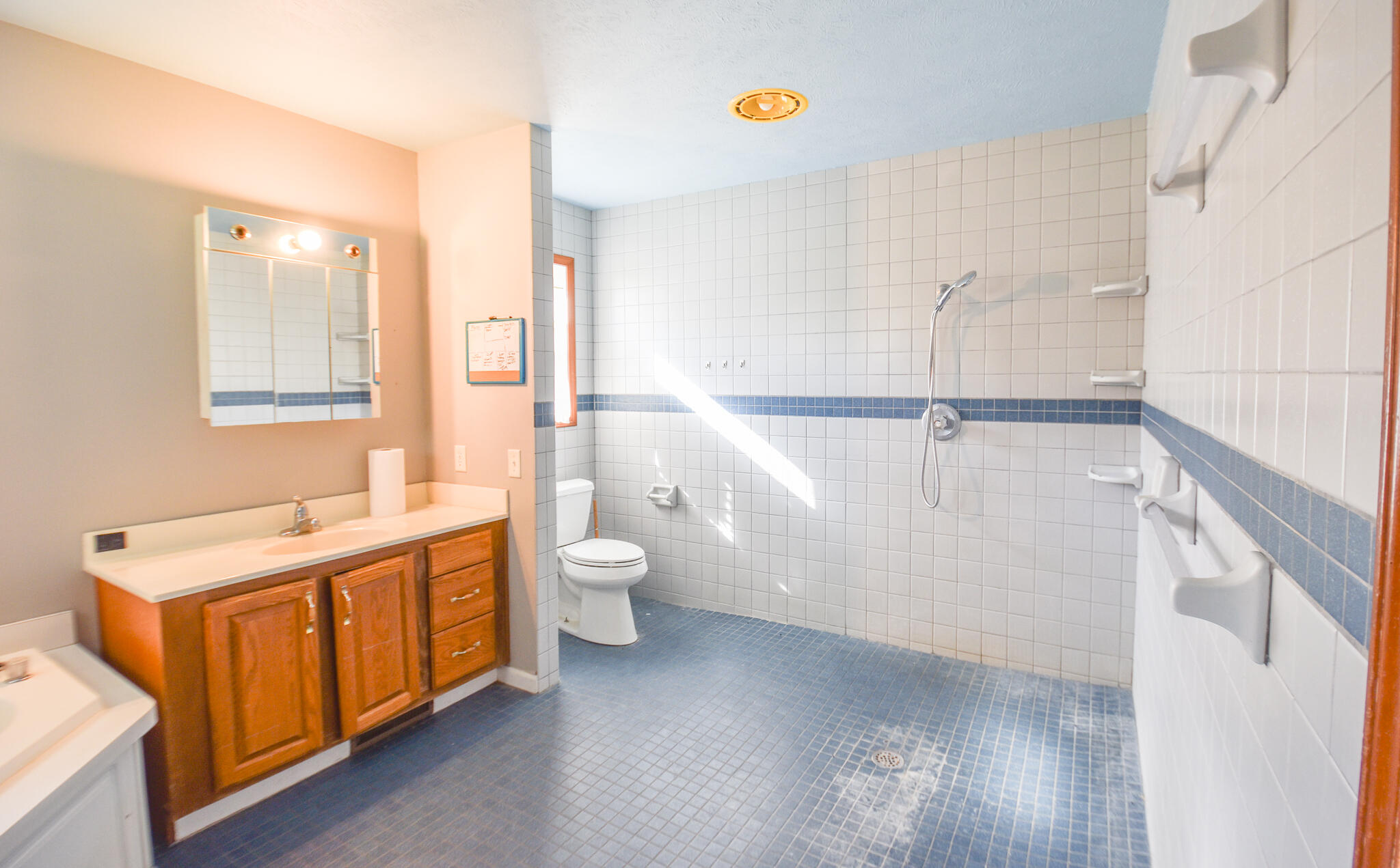 307 Railroad Street Union City Village MI 49094