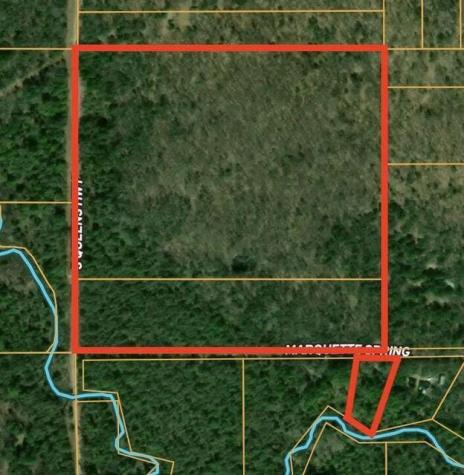 5199 E Marquette Trail Yates Township MI 49623