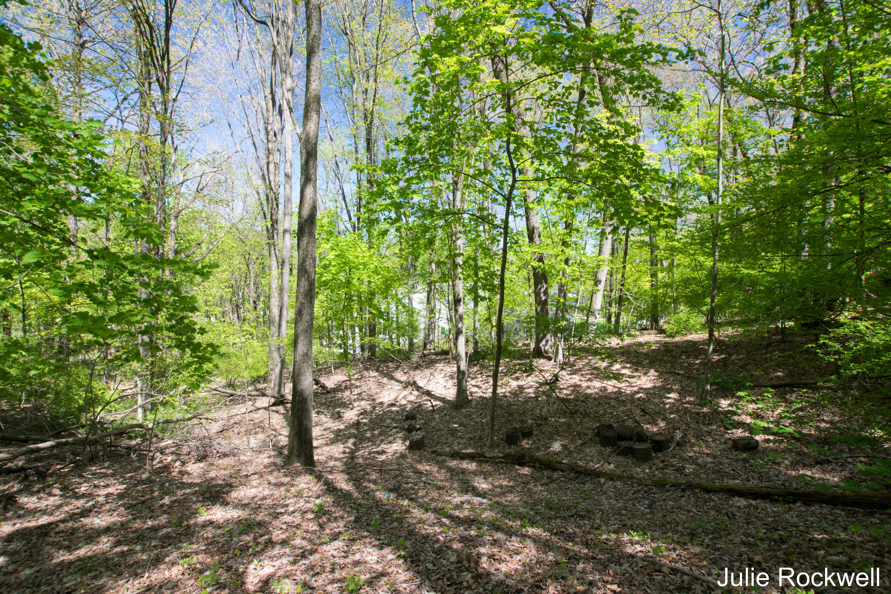 6050 Grand River Drive NE Ada Township MI 49301