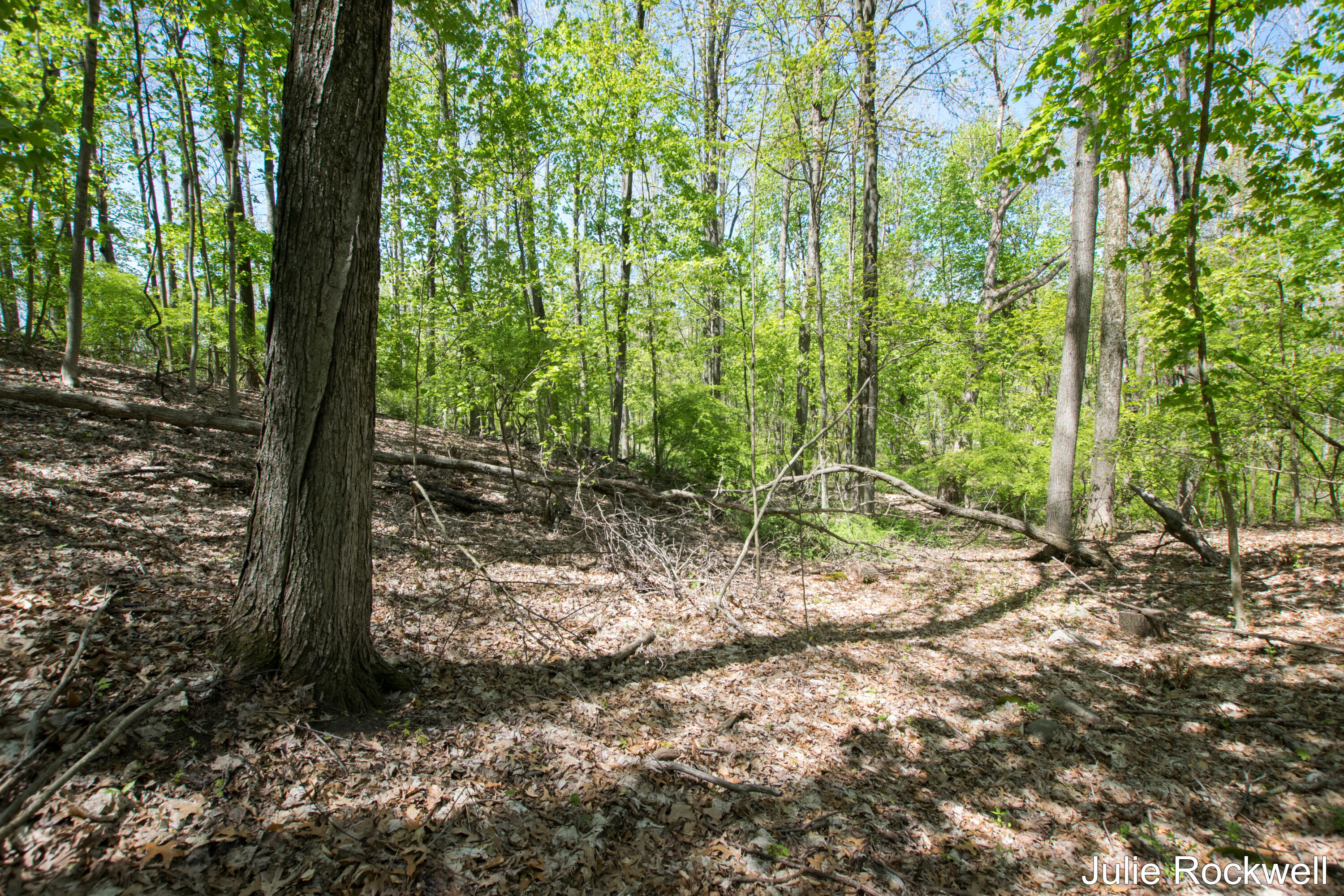 6050 Grand River Drive NE Ada Township MI 49301