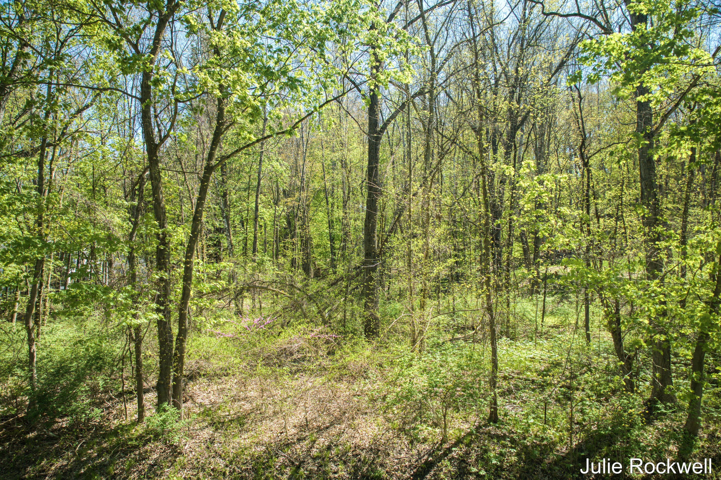 6050 Grand River Drive NE Ada Township MI 49301