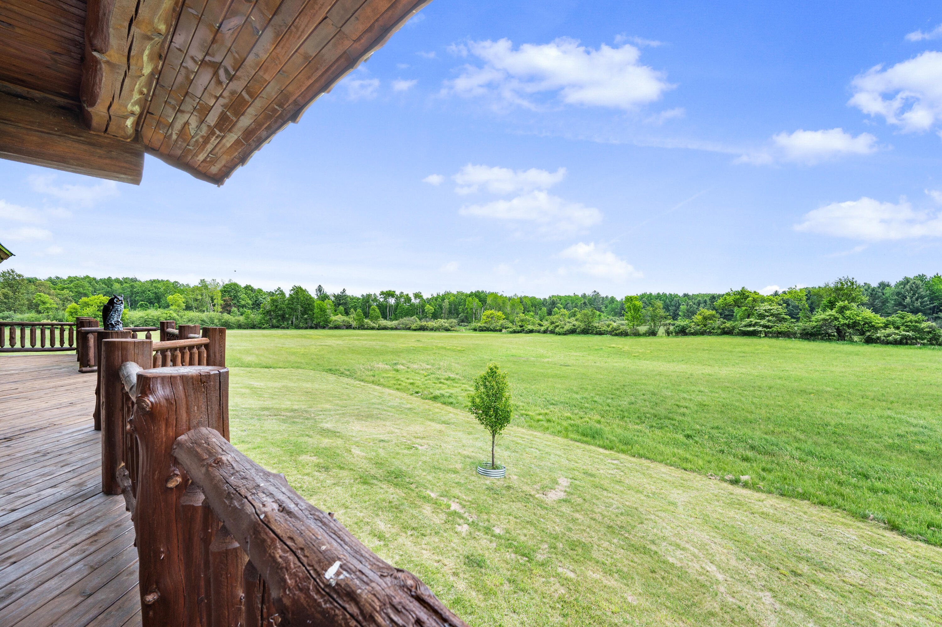 4450 50th Avenue Orient Township MI 49679