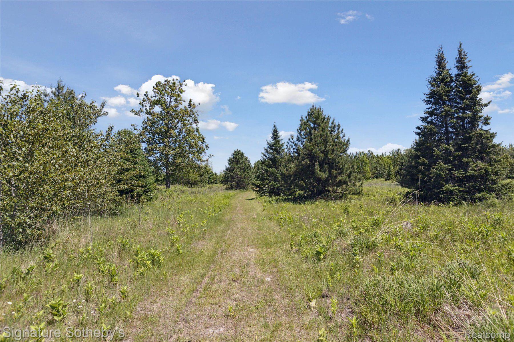 9842 Misery Bay Alpena City MI 49707