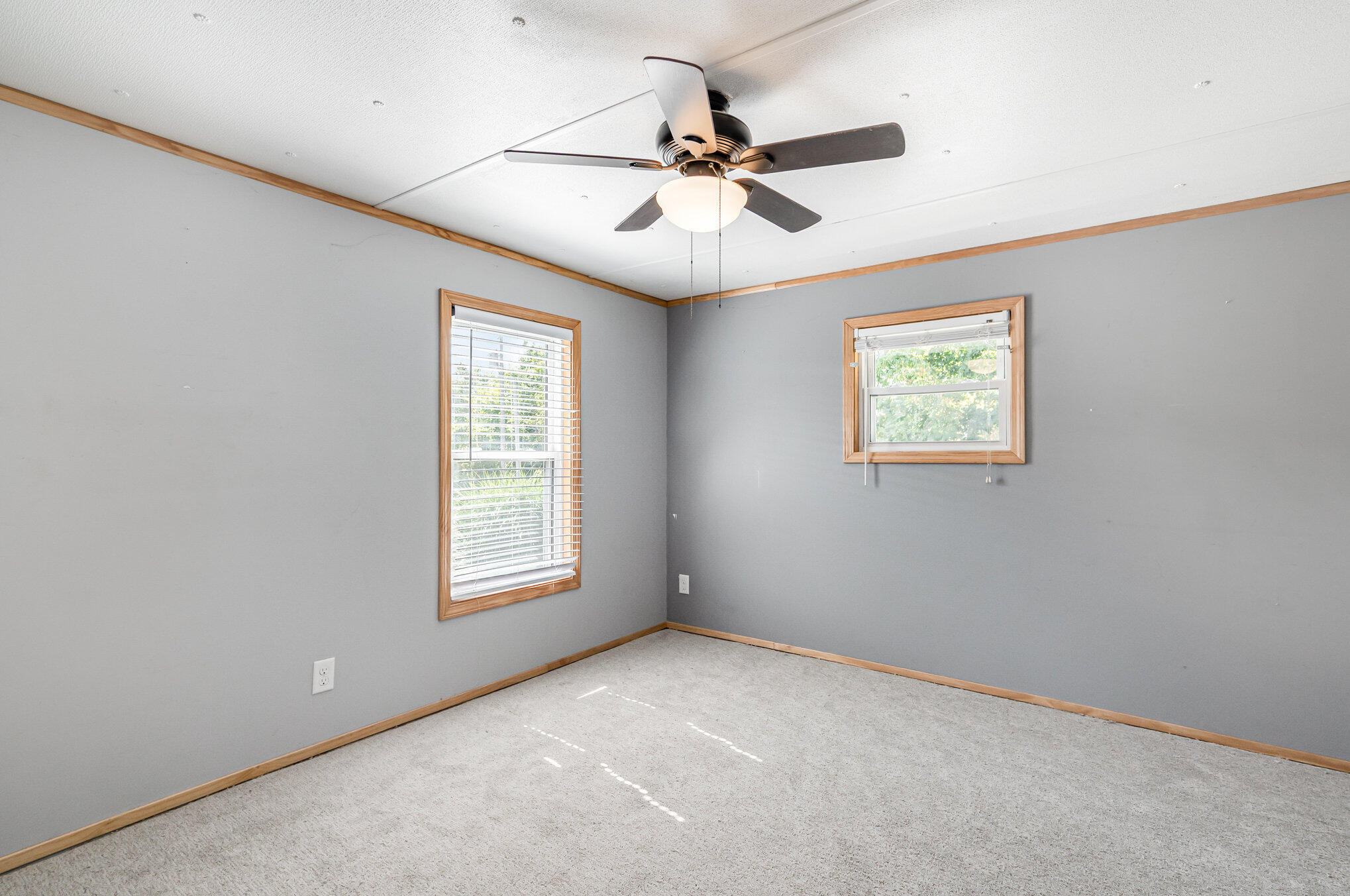 12205 NE Hart Street Oakfield Township MI 48838