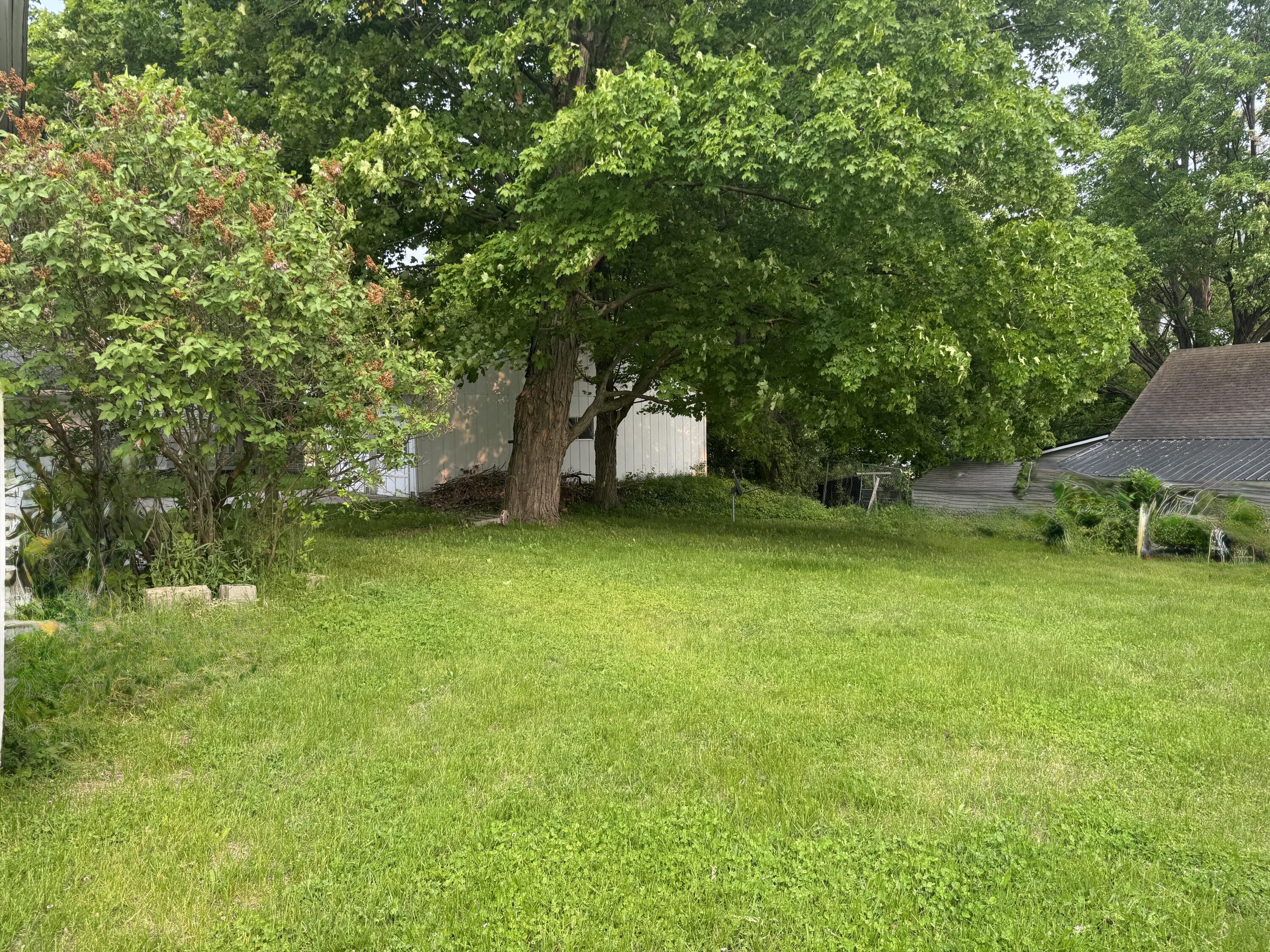 313 W 6th Street Evart City MI 49631