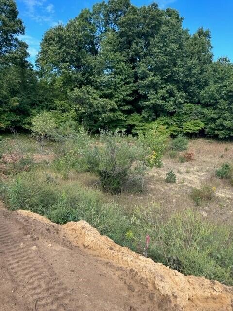 2724 Pasture Street Wayland Township MI 49348