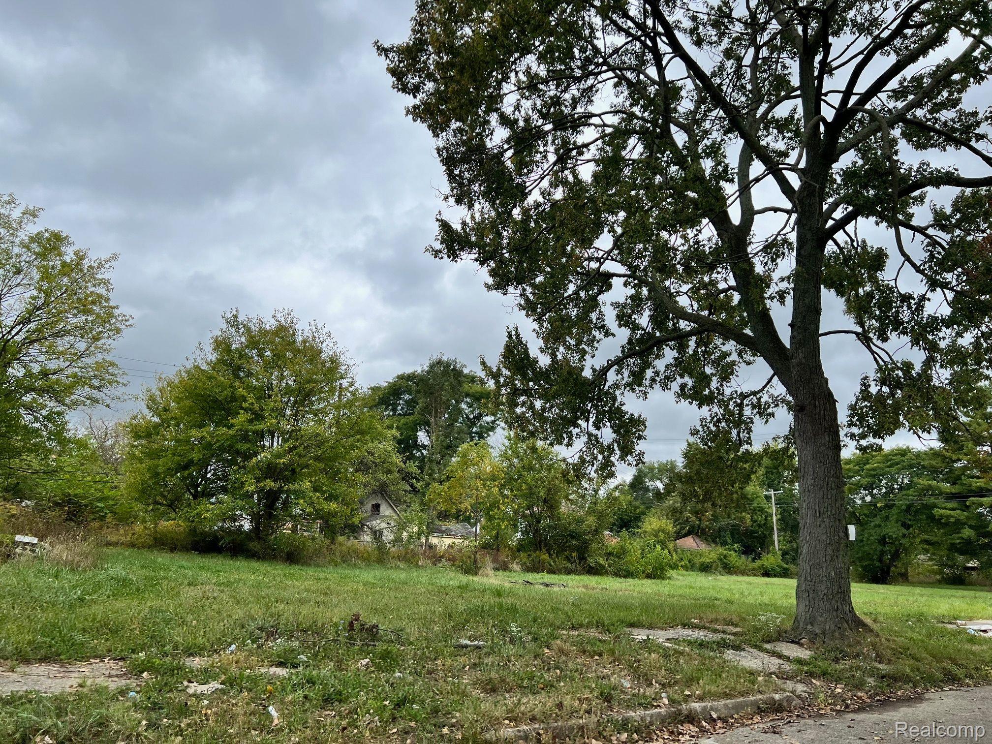 13832 Pinewood Street Detroit City MI 48205