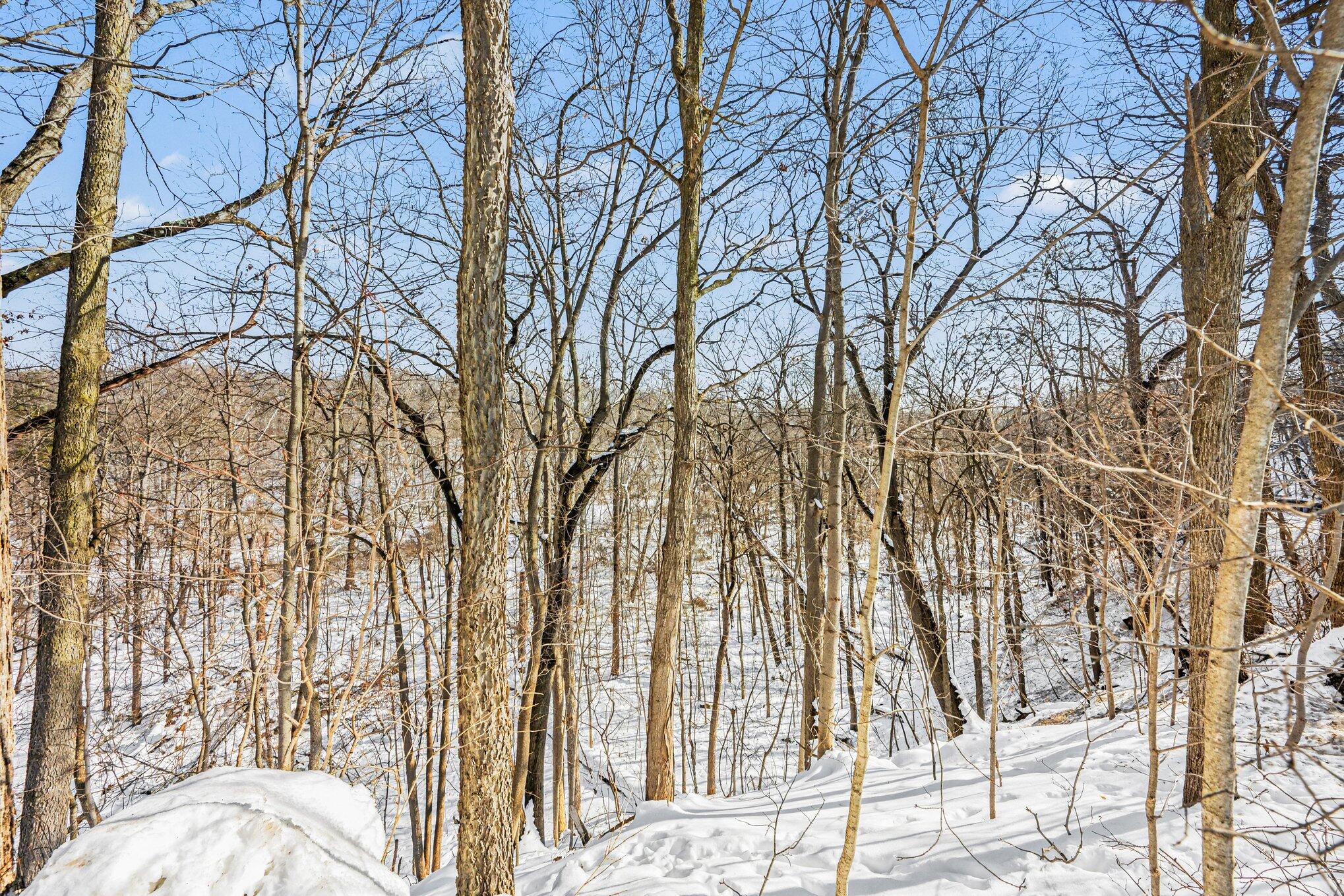 329 Bond Street Allegan City MI 49010