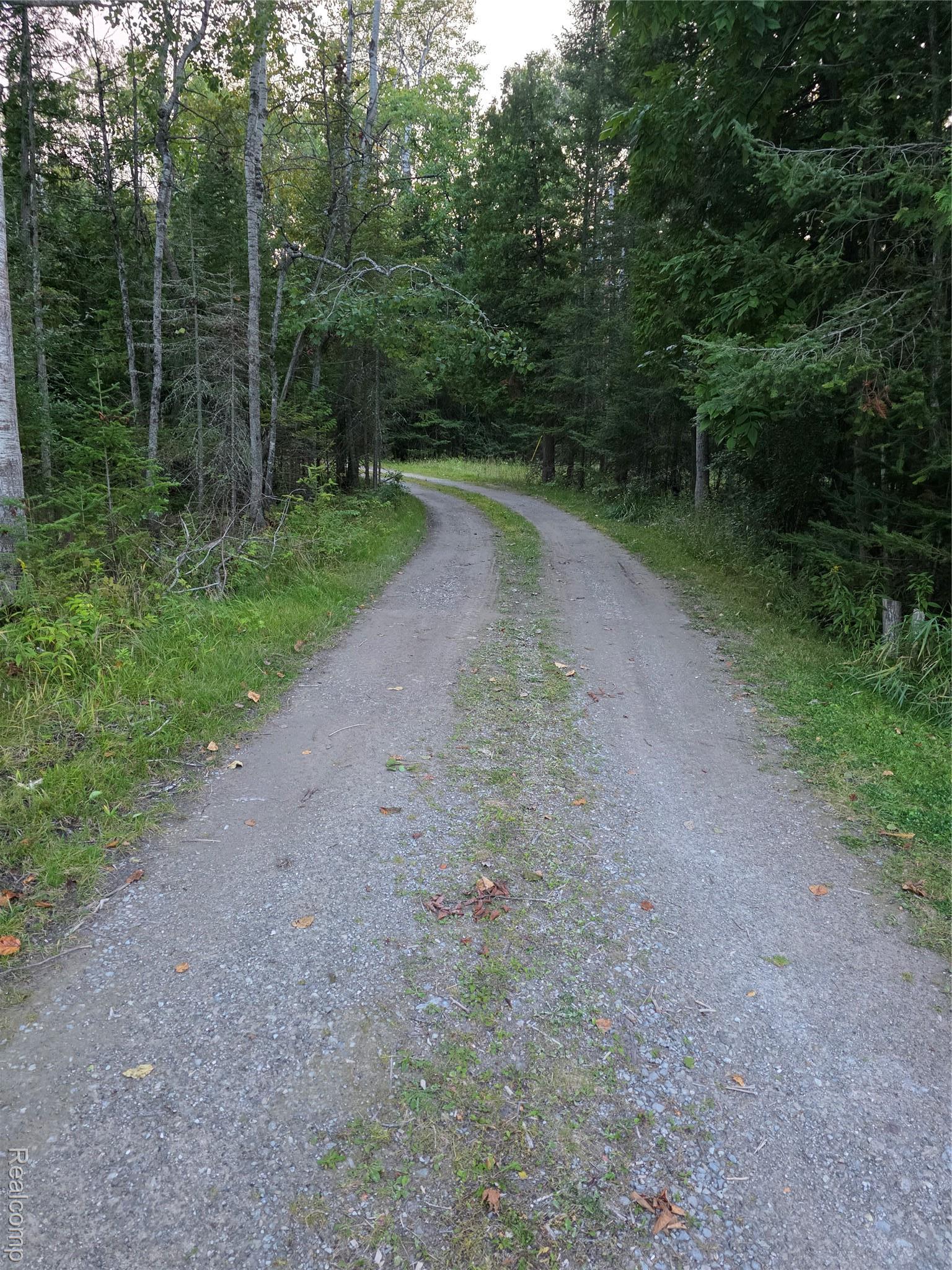 5136 Hardwood Trail Alcona Township MI 49747