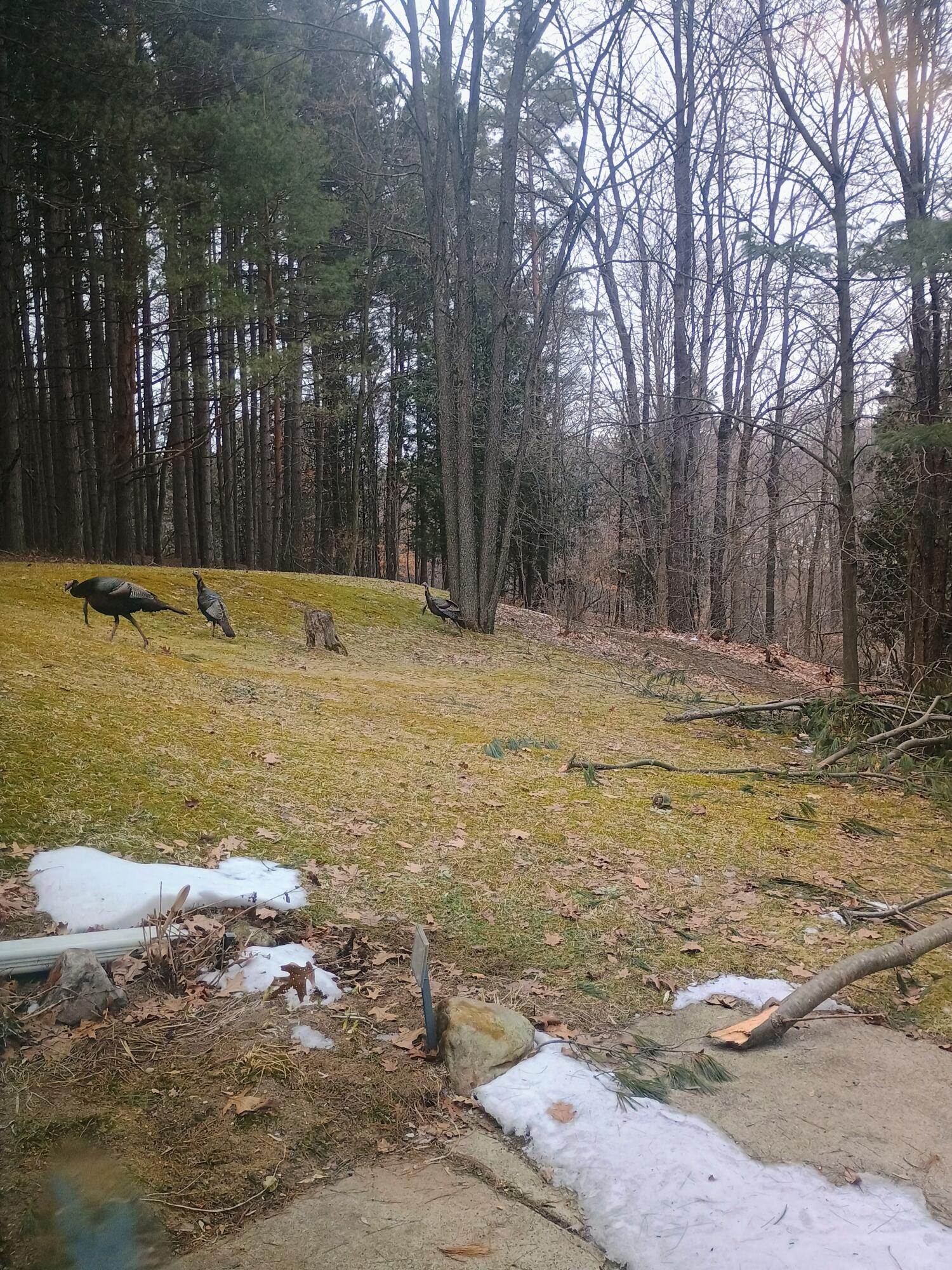 167 Mill Road Millbrook Township MI 49310